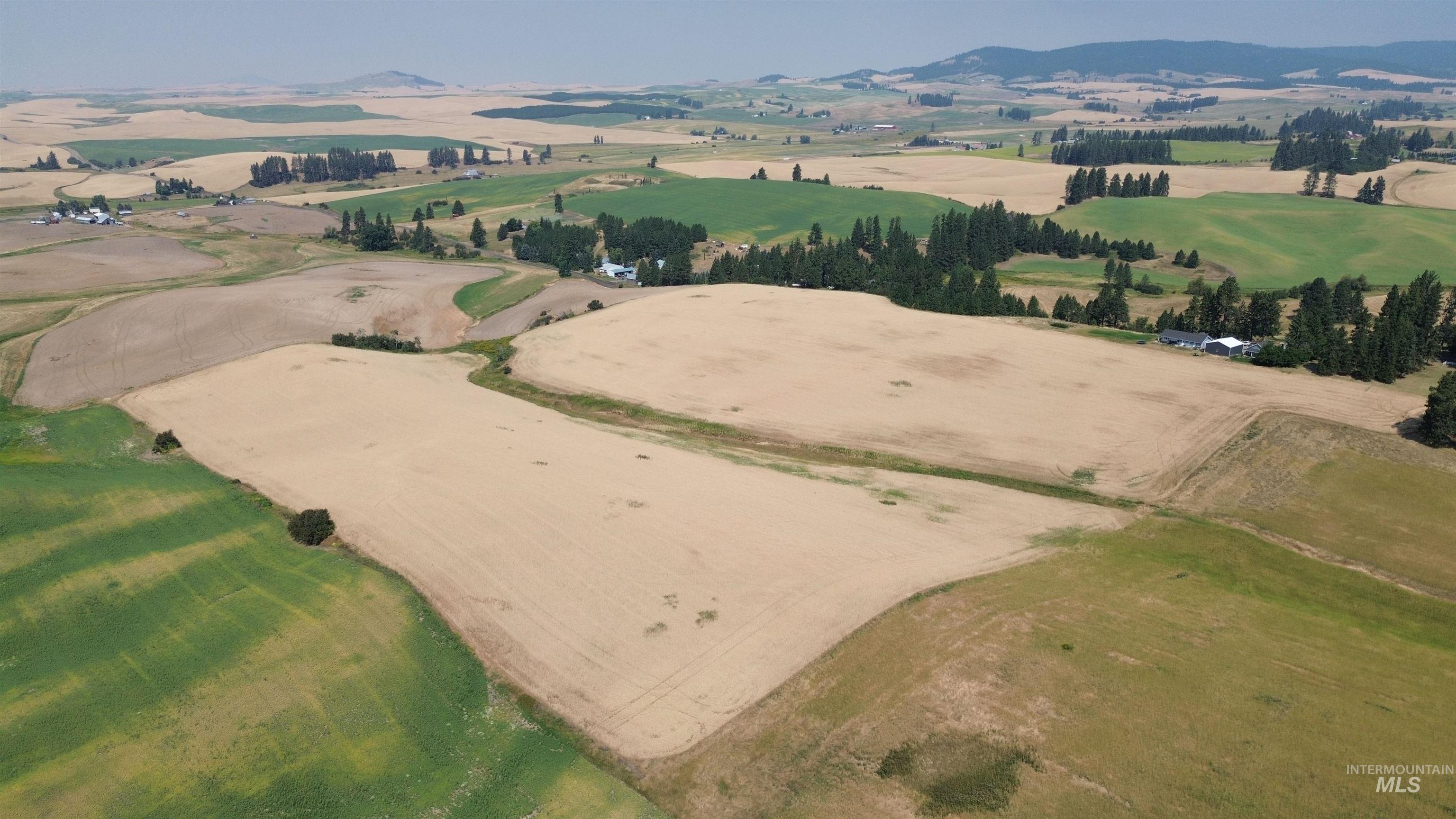 37+/- AC TBD Boller Rd., Potlatch, Idaho 83855, Land For Sale, Price $380,000, 98995541
