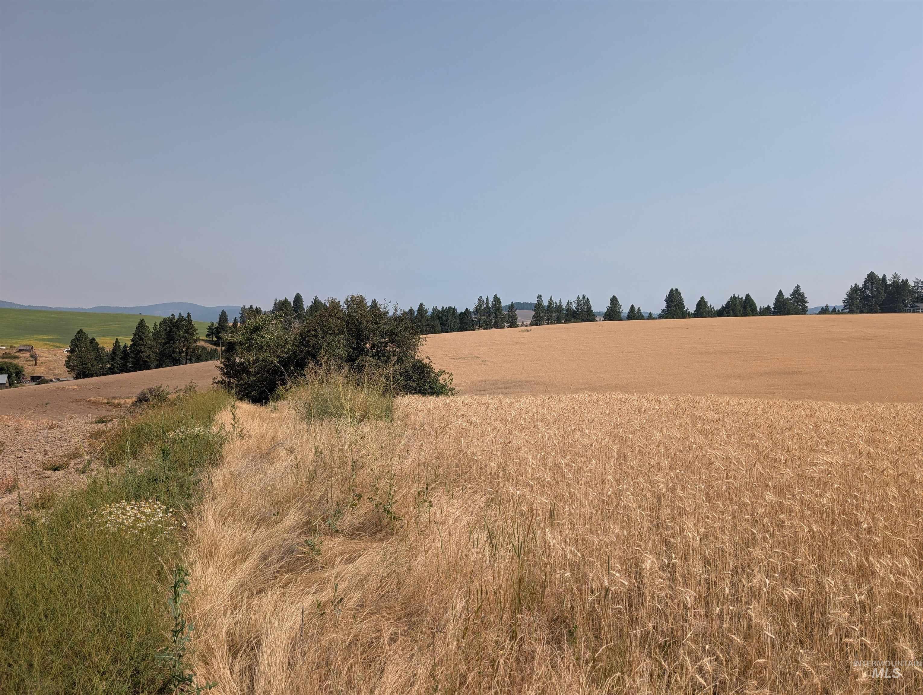 37+/- AC TBD Boller Rd., Potlatch, Idaho 83855, Land For Sale, Price $380,000, 98995541