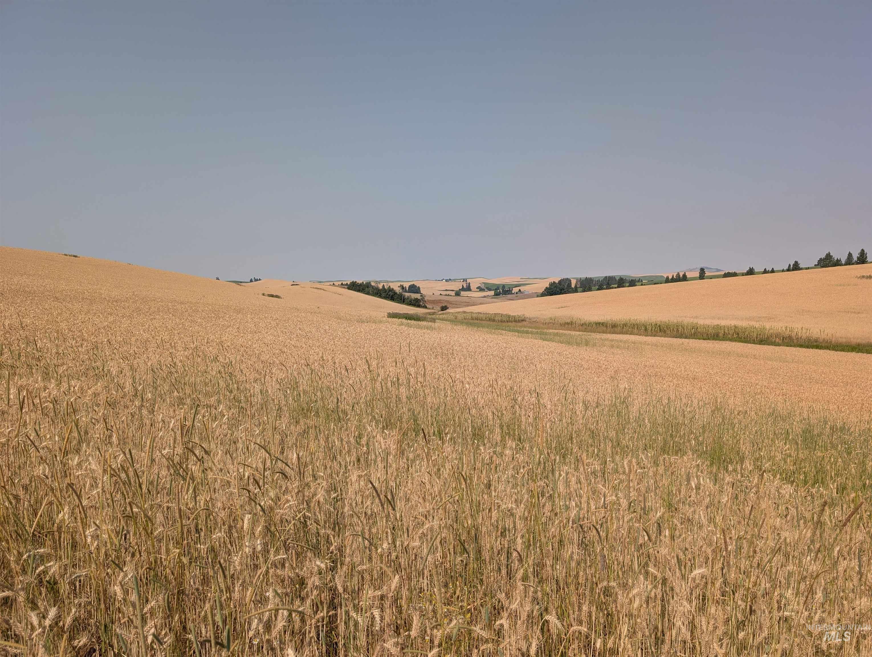 37+/- AC TBD Boller Rd., Potlatch, Idaho 83855, Land For Sale, Price $380,000, 98995541