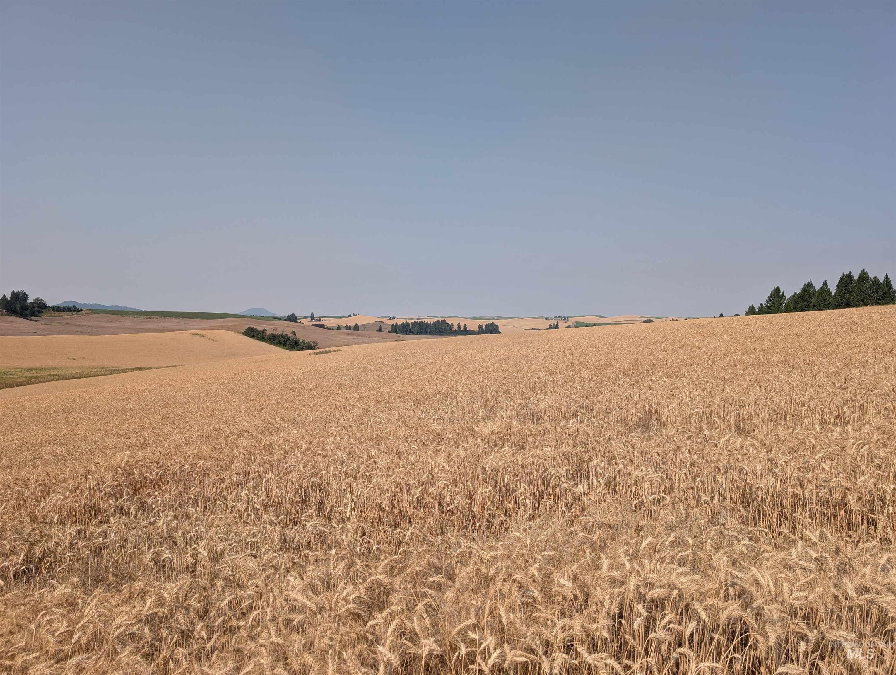 37+/- AC TBD Boller Rd., Potlatch, Idaho 83855, Land For Sale, Price $380,000, 98995541
