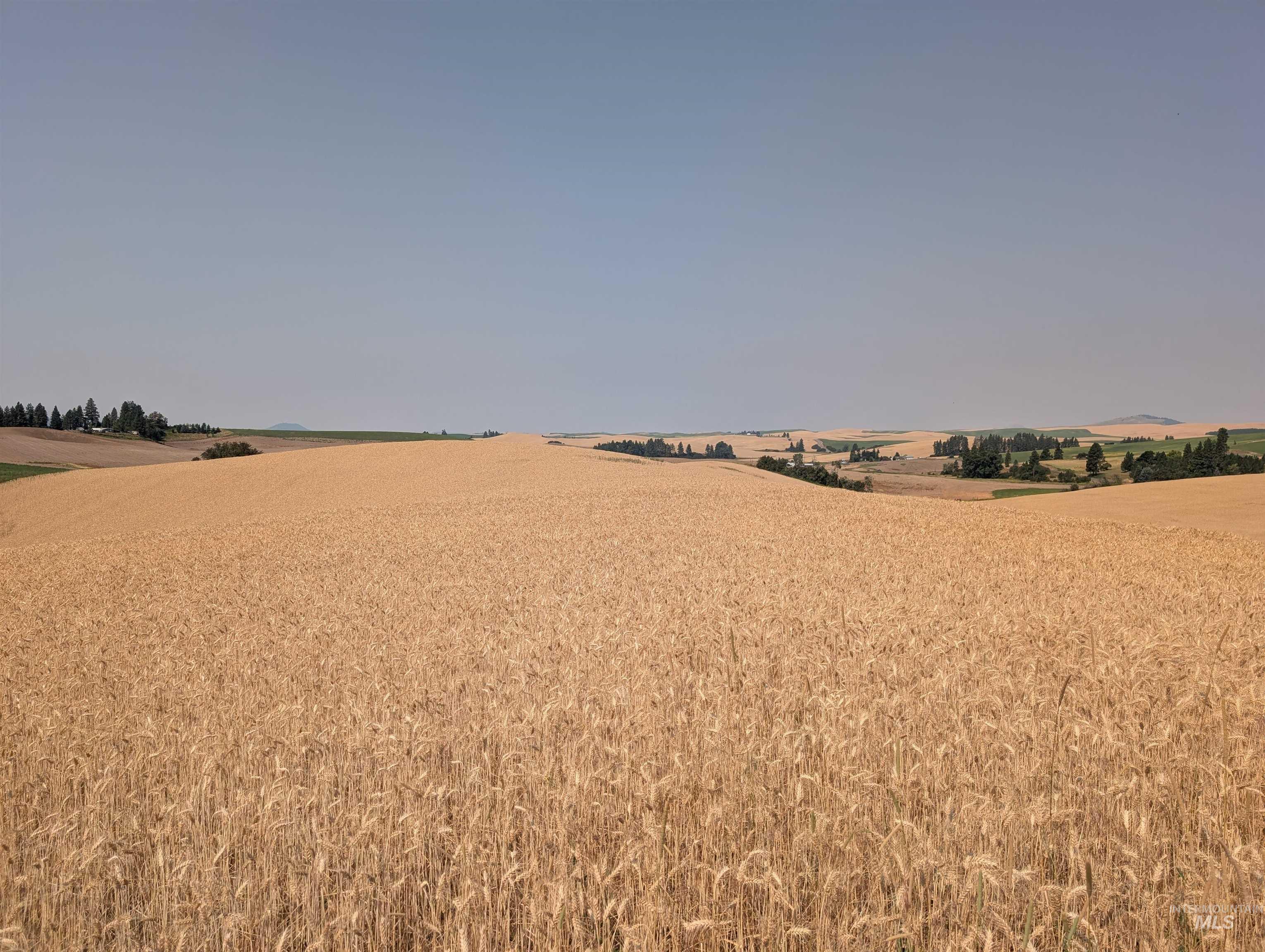 37+/- AC TBD Boller Rd., Potlatch, Idaho 83855, Land For Sale, Price $380,000, 98995541