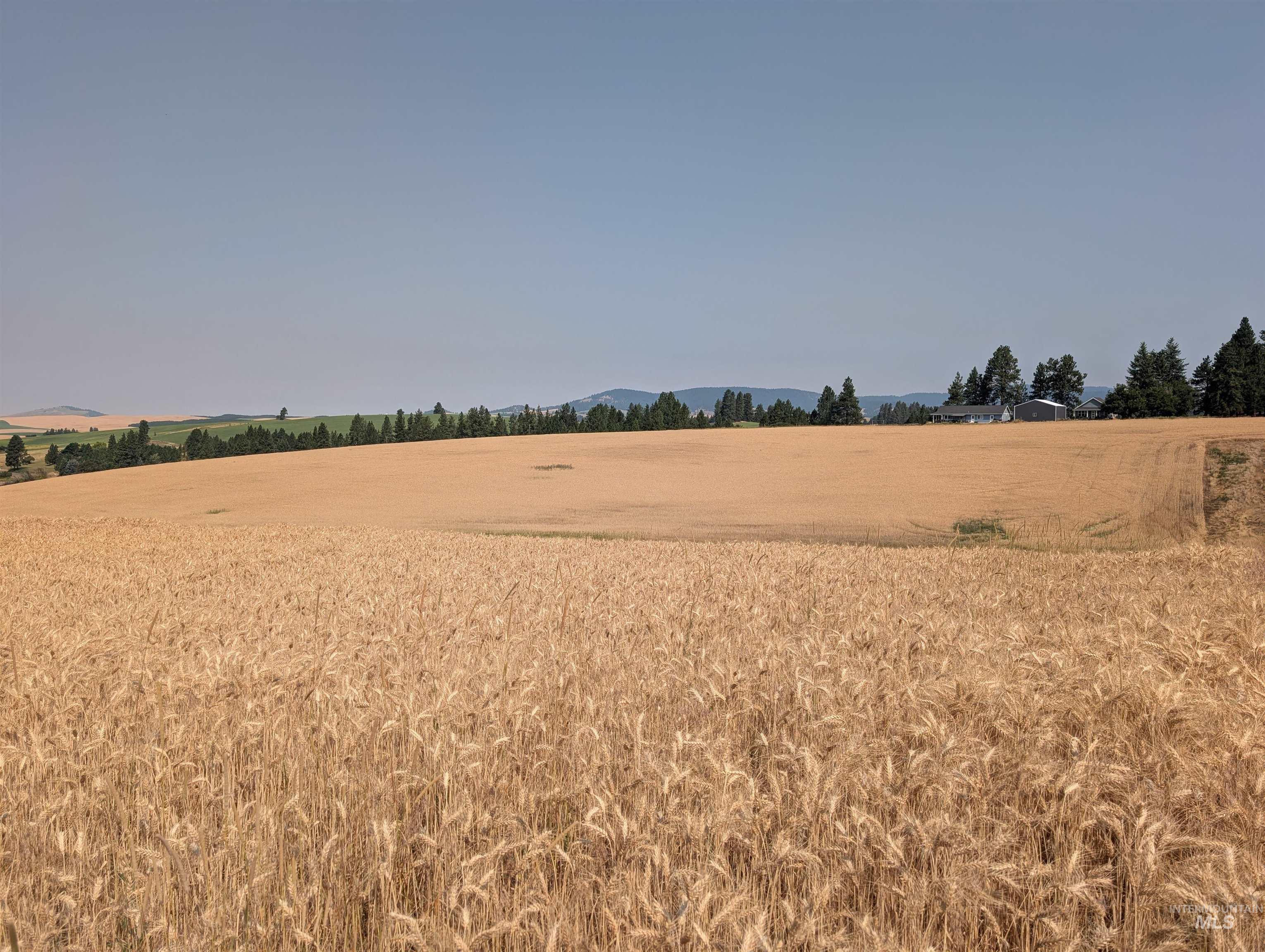 37+/- AC TBD Boller Rd., Potlatch, Idaho 83855, Land For Sale, Price $380,000, 98995541