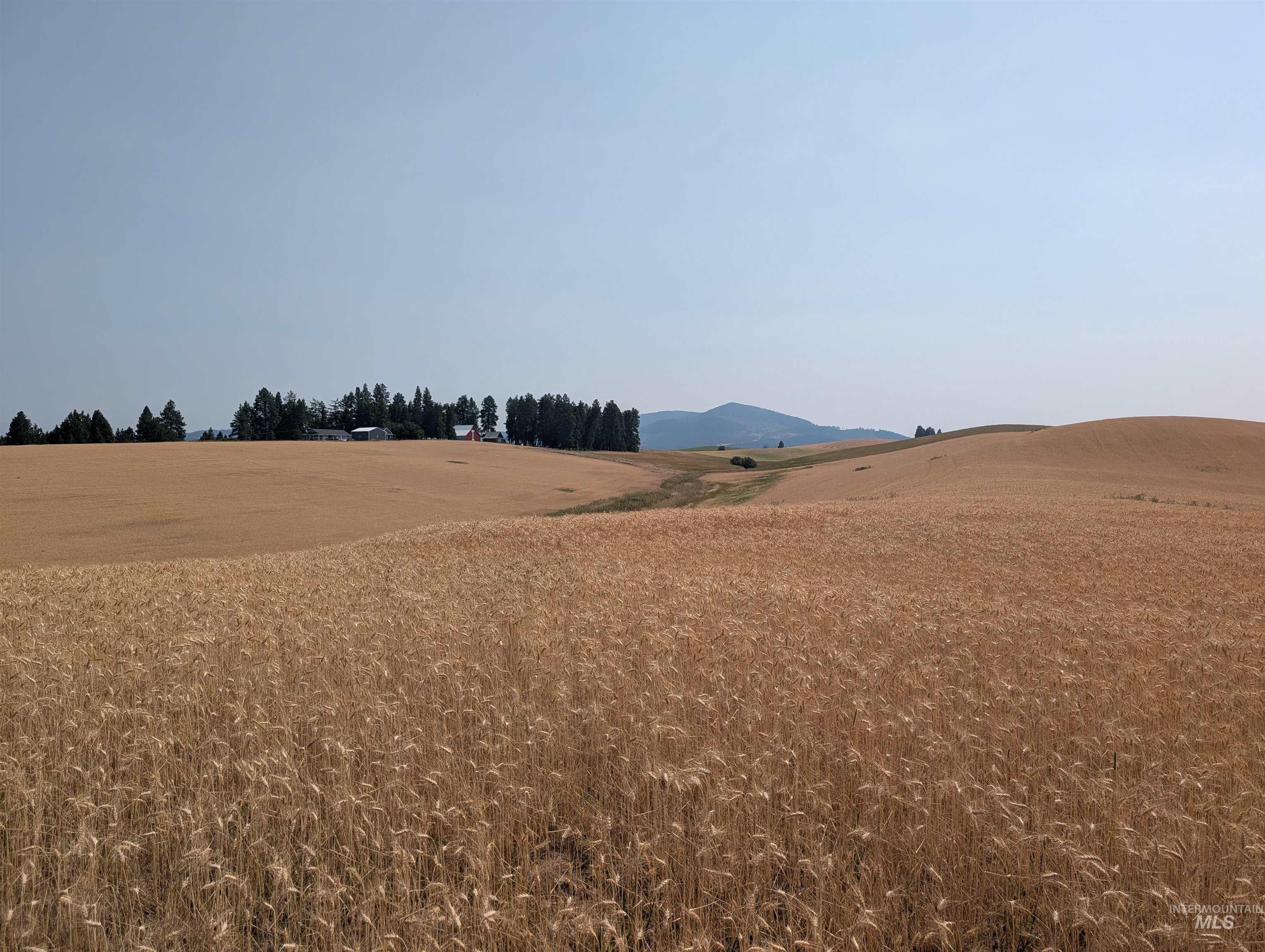 37+/- AC TBD Boller Rd., Potlatch, Idaho 83855, Land For Sale, Price $380,000, 98995541