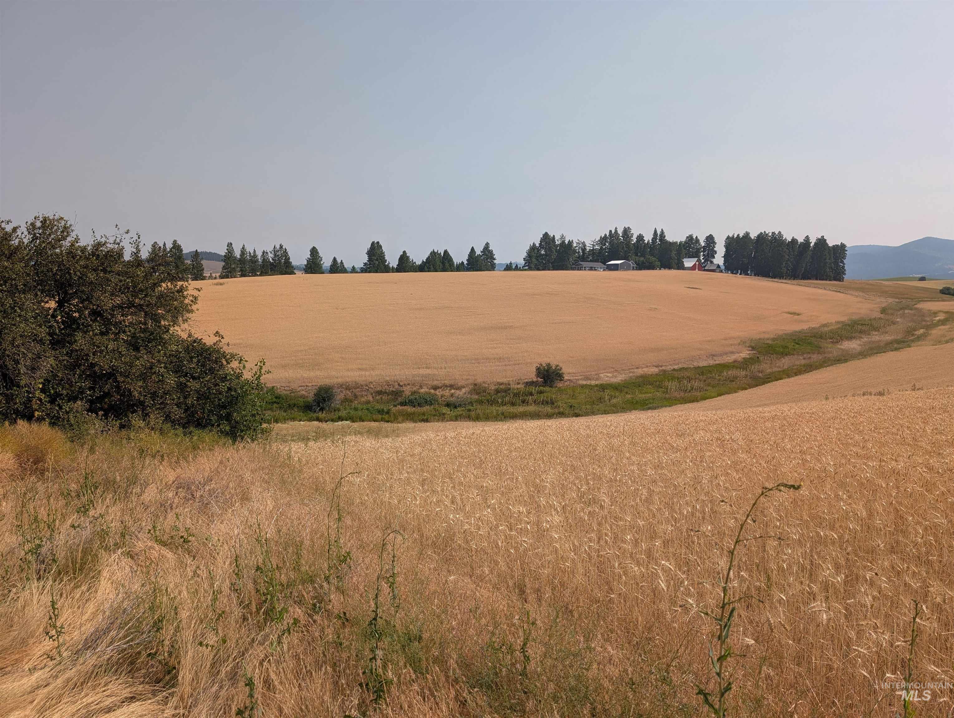 37+/- AC TBD Boller Rd., Potlatch, Idaho 83855, Land For Sale, Price $380,000, 98995541
