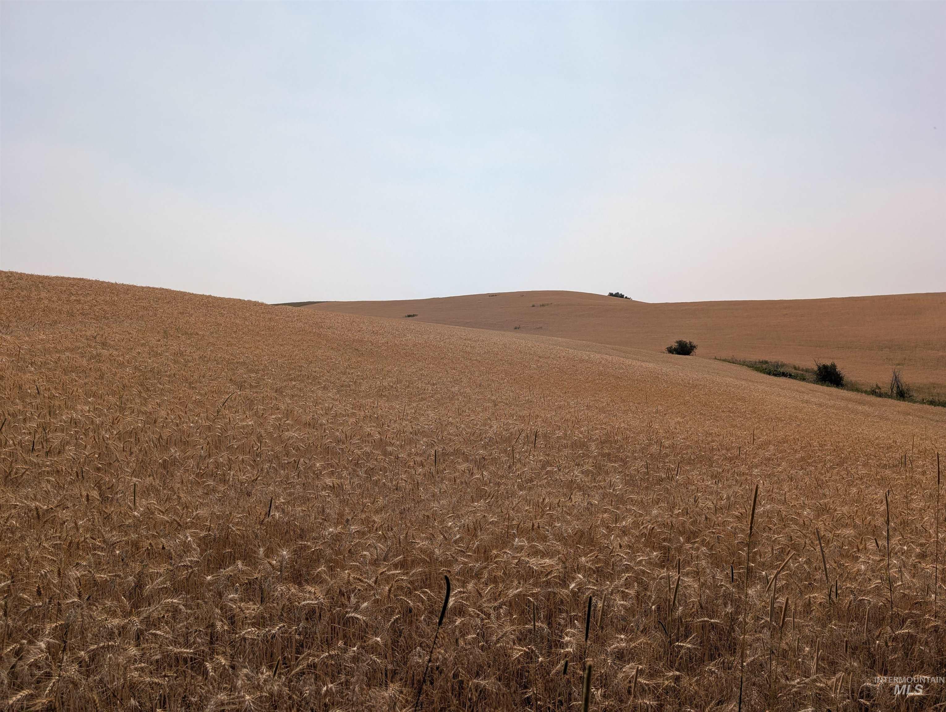 37+/- AC TBD Boller Rd., Potlatch, Idaho 83855, Land For Sale, Price $380,000, 98995541