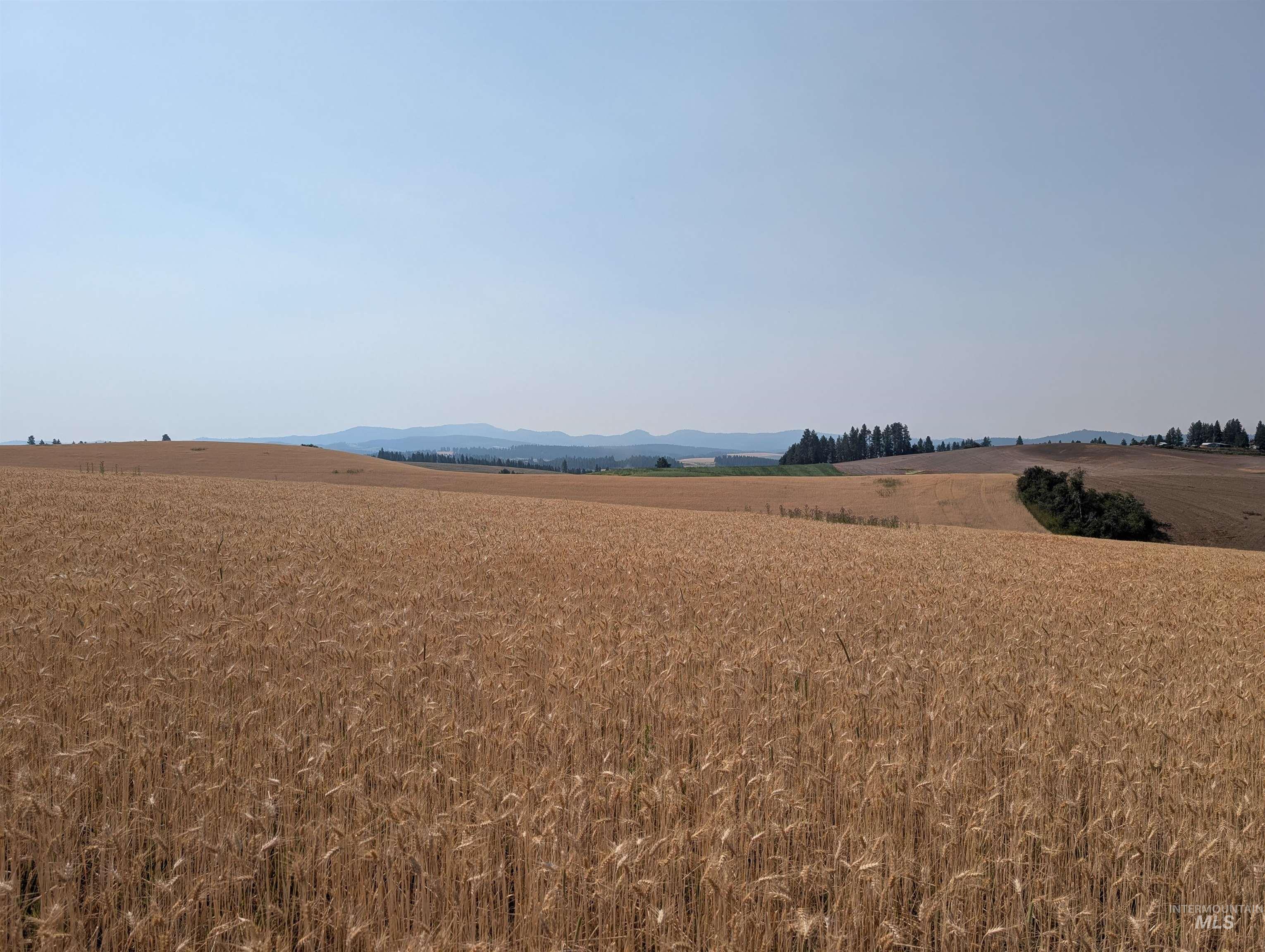 37+/- AC TBD Boller Rd., Potlatch, Idaho 83855, Land For Sale, Price $380,000, 98995541