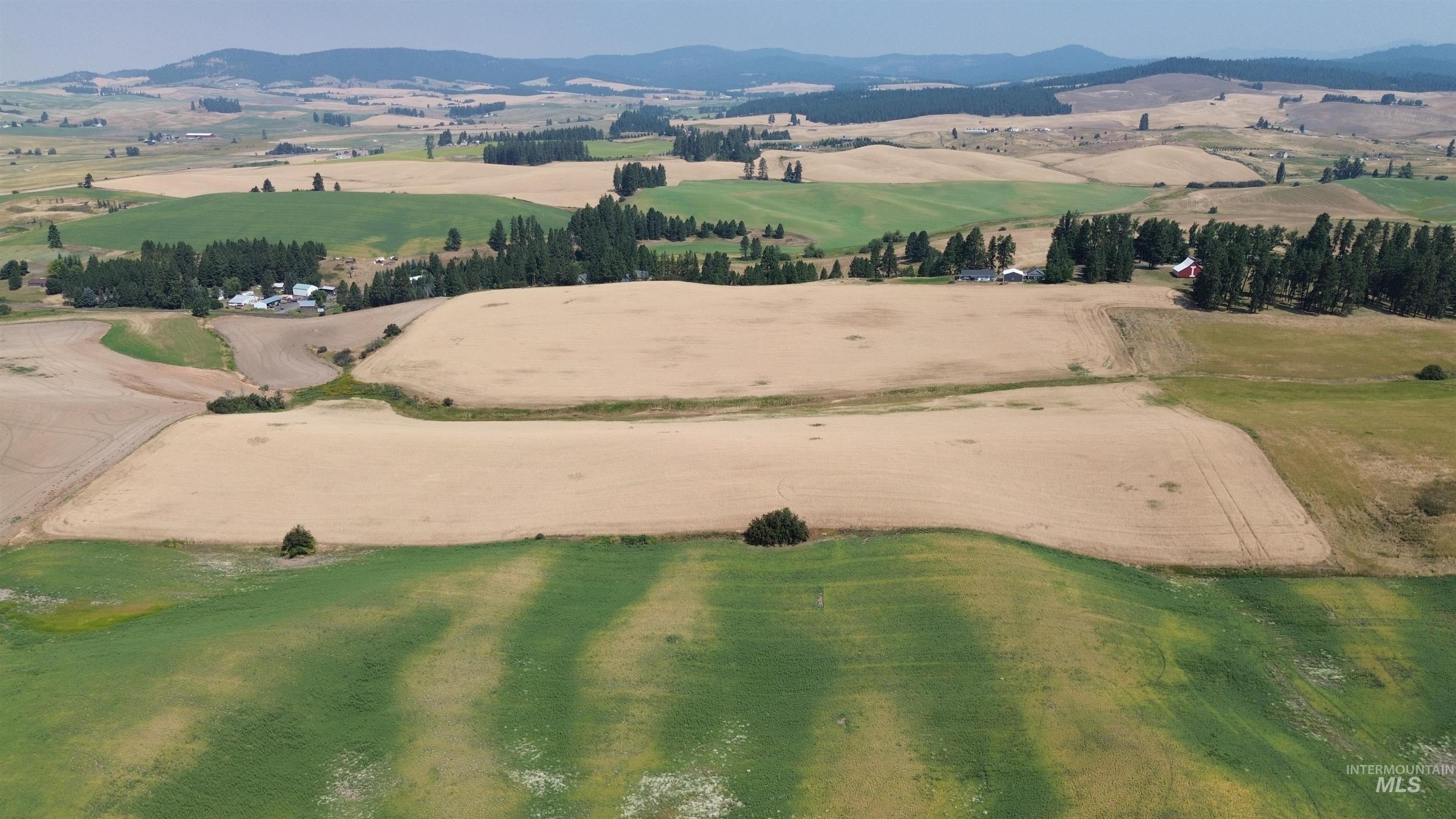 37+/- AC TBD Boller Rd., Potlatch, Idaho 83855, Land For Sale, Price $380,000, 98995541