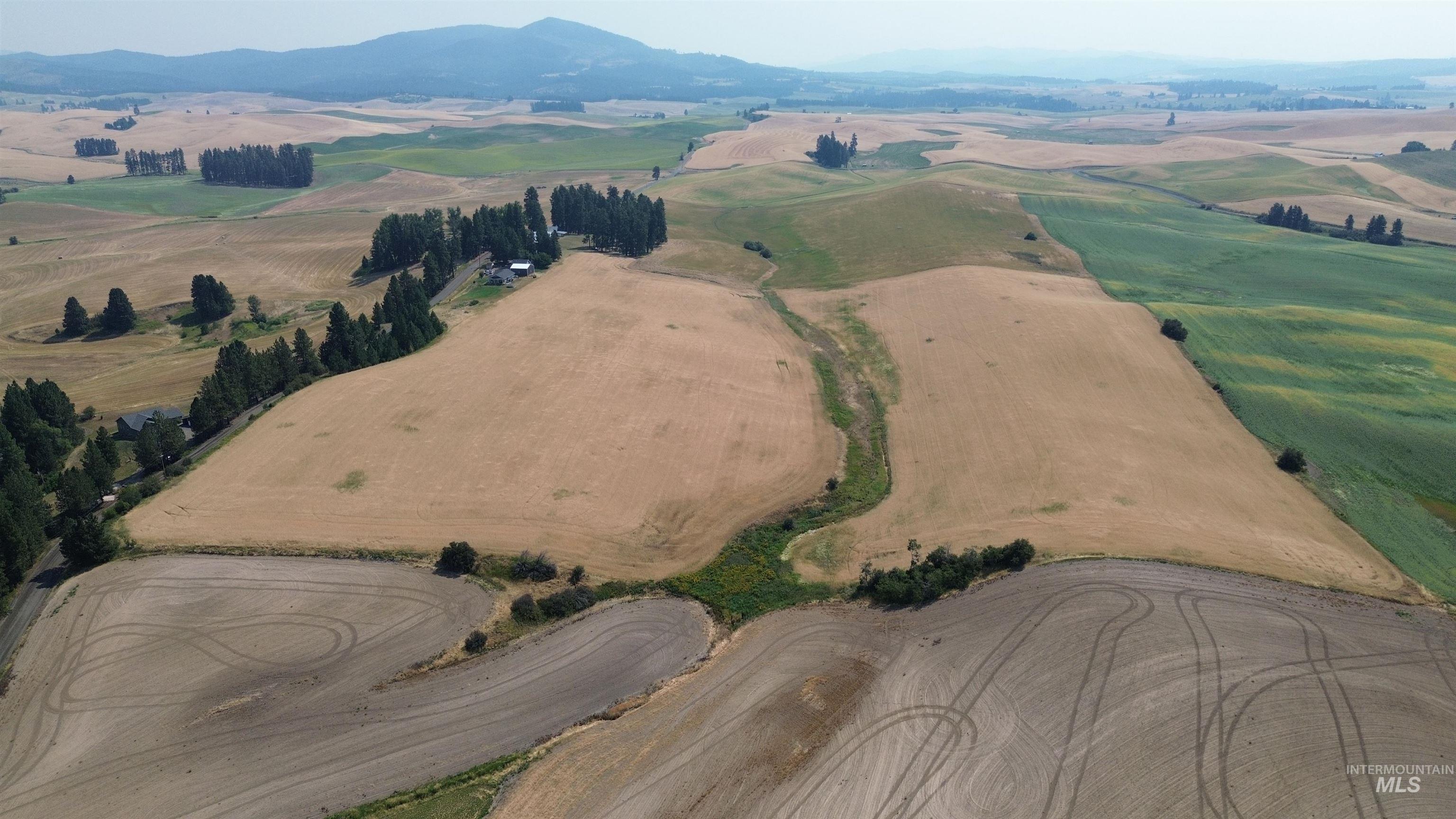 37+/- AC TBD Boller Rd., Potlatch, Idaho 83855, Land For Sale, Price $380,000, 98995541