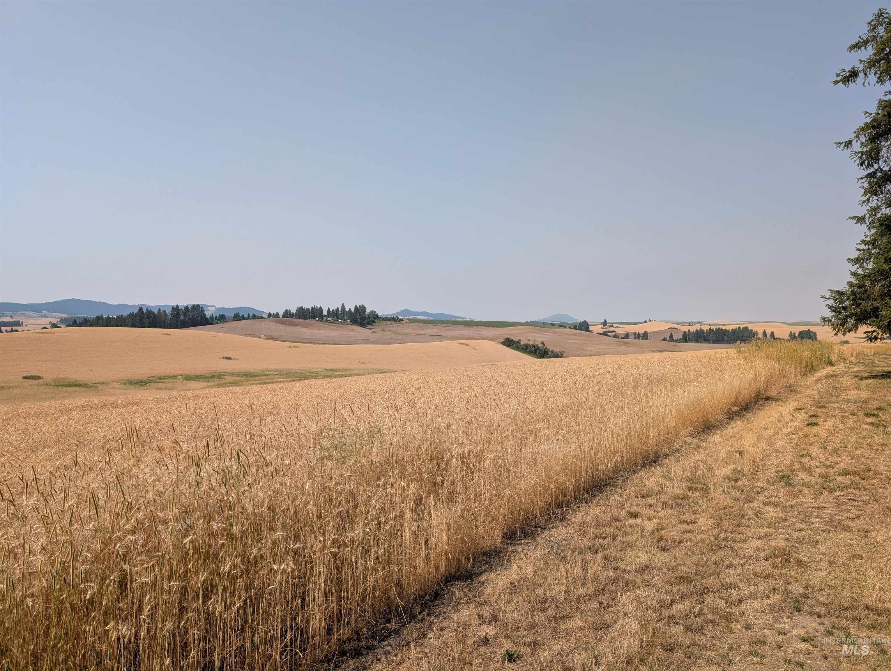 37+/- AC TBD Boller Rd., Potlatch, Idaho 83855, Land For Sale, Price $380,000, 98995541