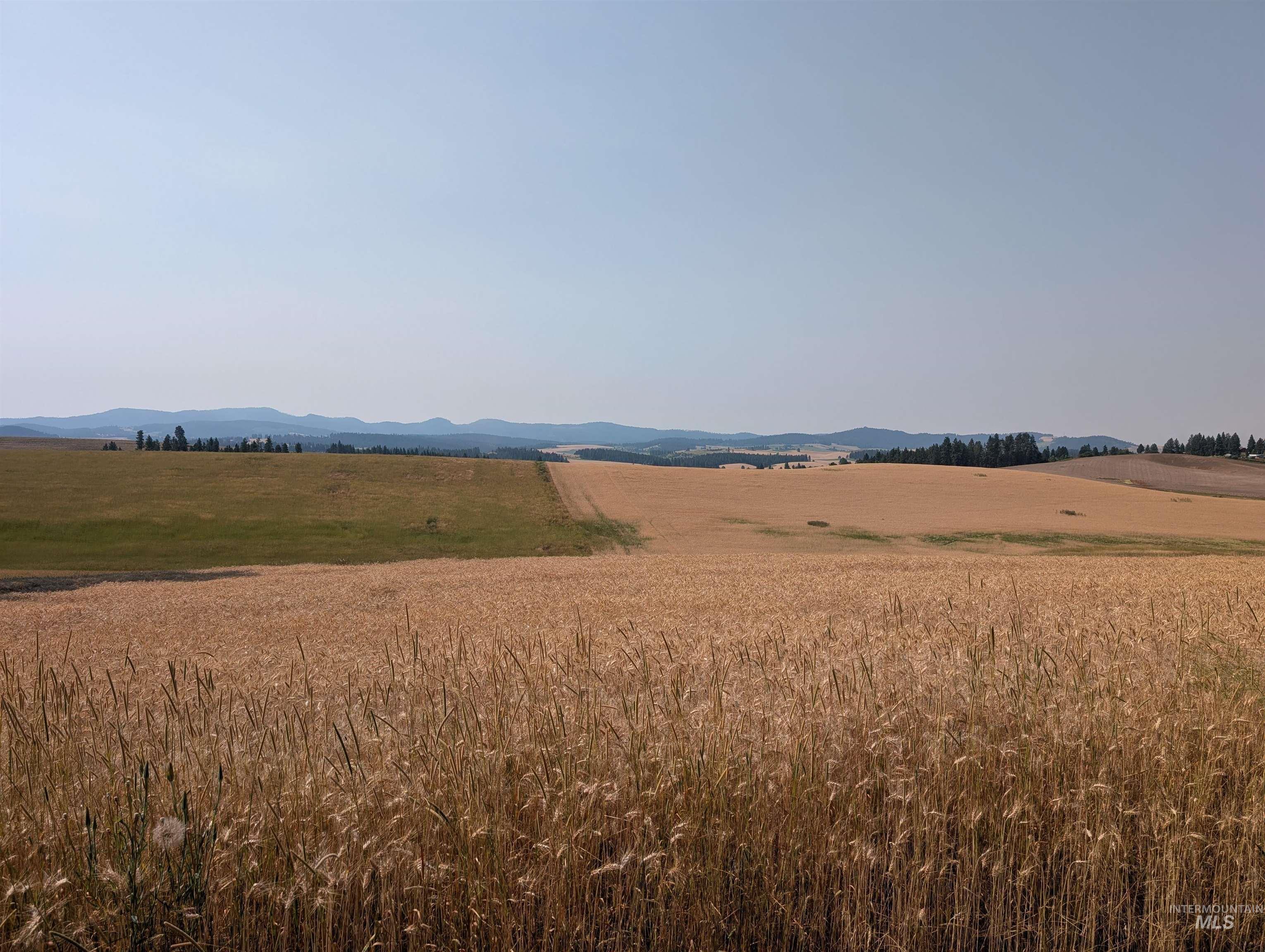 37+/- AC TBD Boller Rd., Potlatch, Idaho 83855, Land For Sale, Price $380,000, 98995541