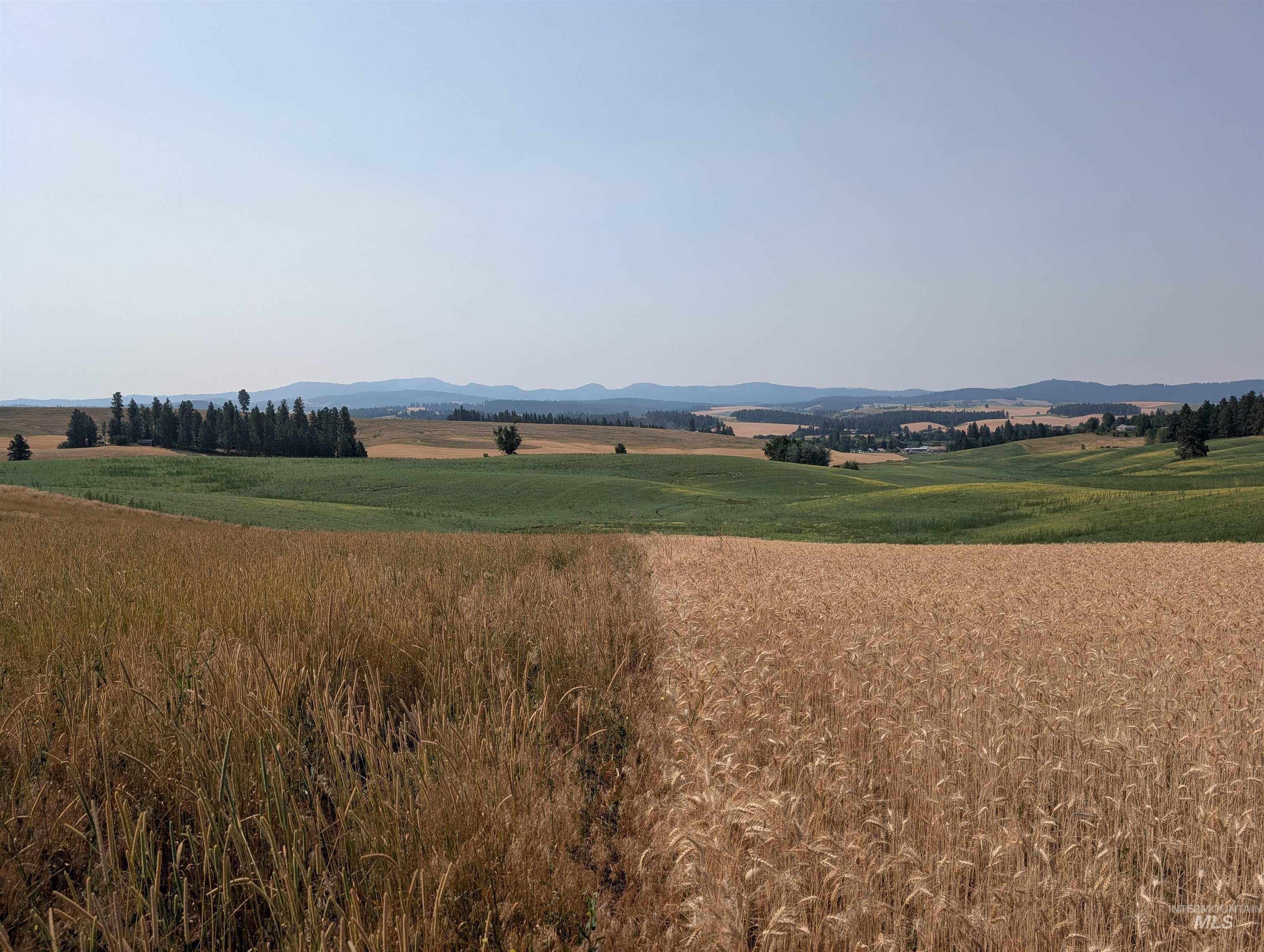 37+/- AC TBD Boller Rd., Potlatch, Idaho 83855, Land For Sale, Price $380,000, 98995541
