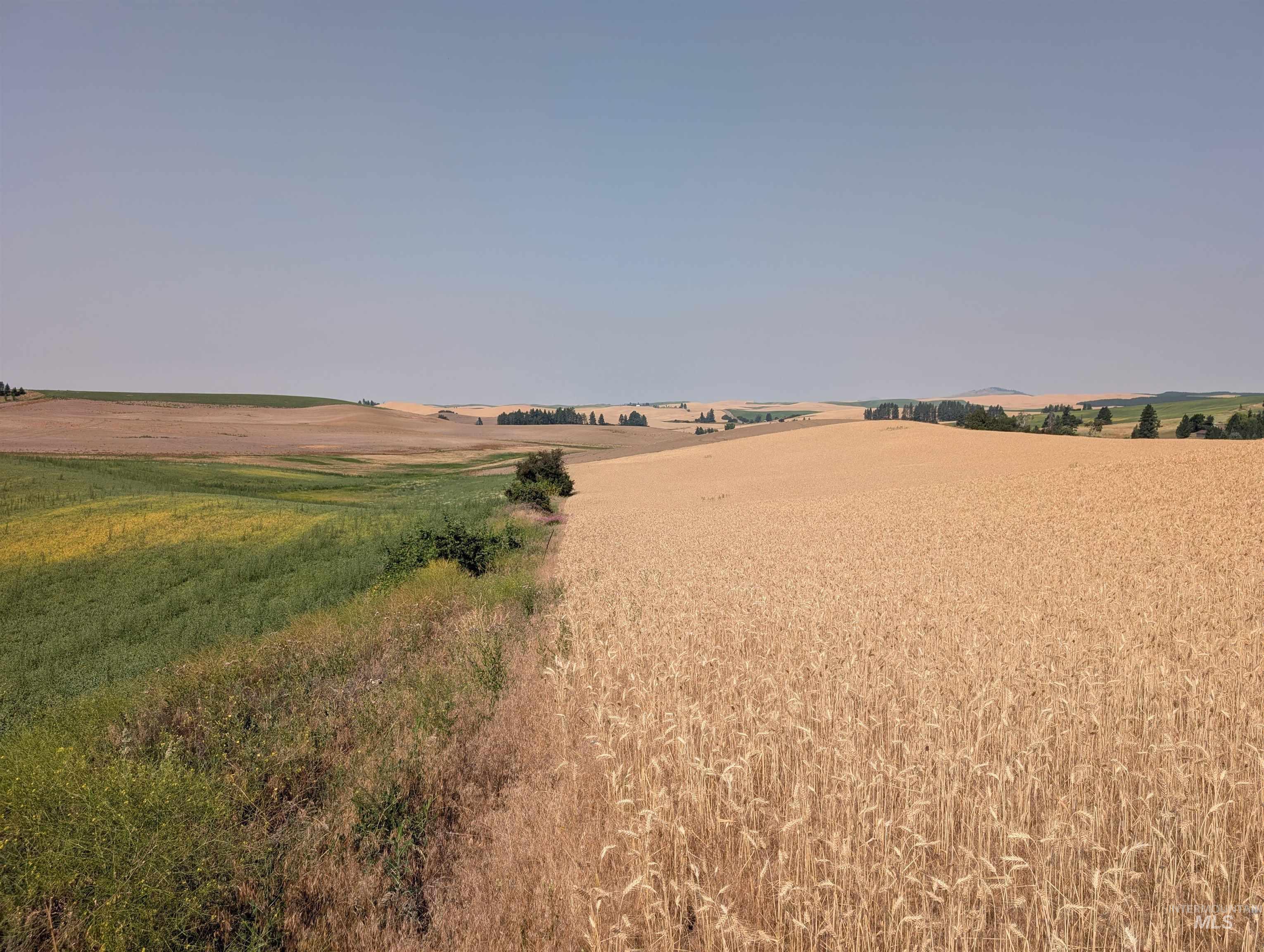 37+/- AC TBD Boller Rd., Potlatch, Idaho 83855, Land For Sale, Price $380,000, 98995541