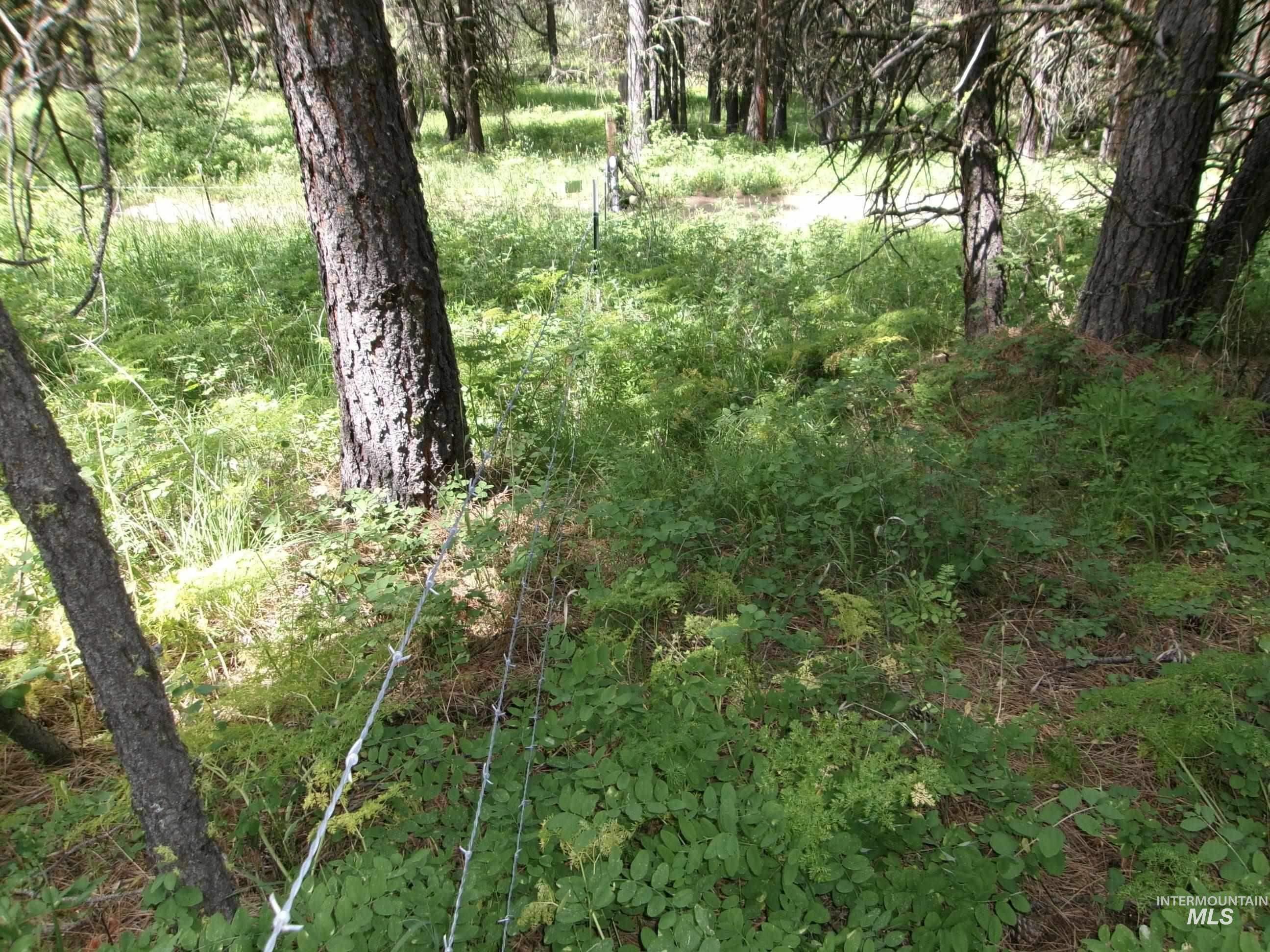 TBD 5ac Jackpine Rd, CottonWood, Idaho 83522, Land For Sale, Price $85,000, 98995549