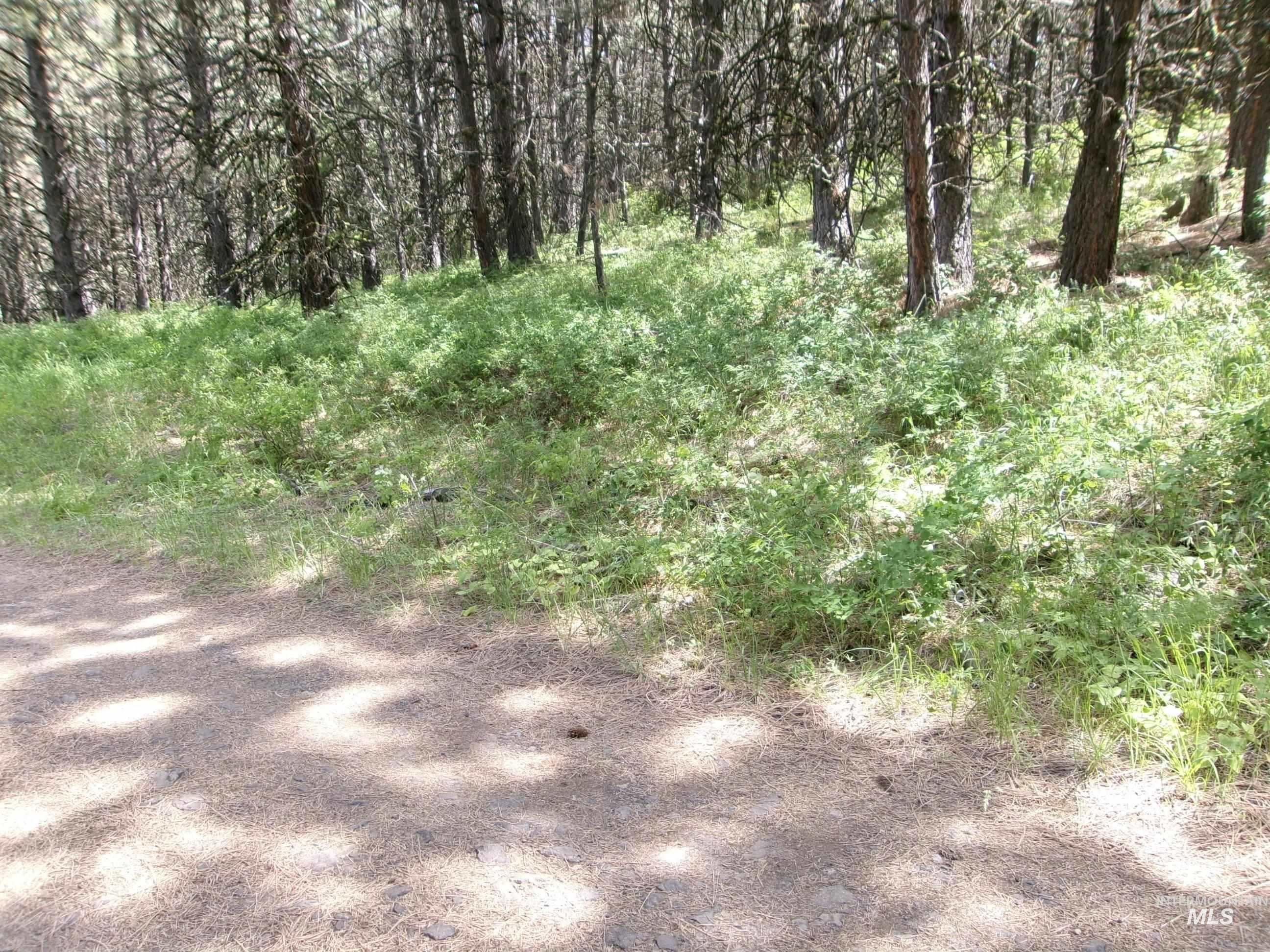 TBD 5ac Jackpine Rd, CottonWood, Idaho 83522, Land For Sale, Price $85,000, 98995549