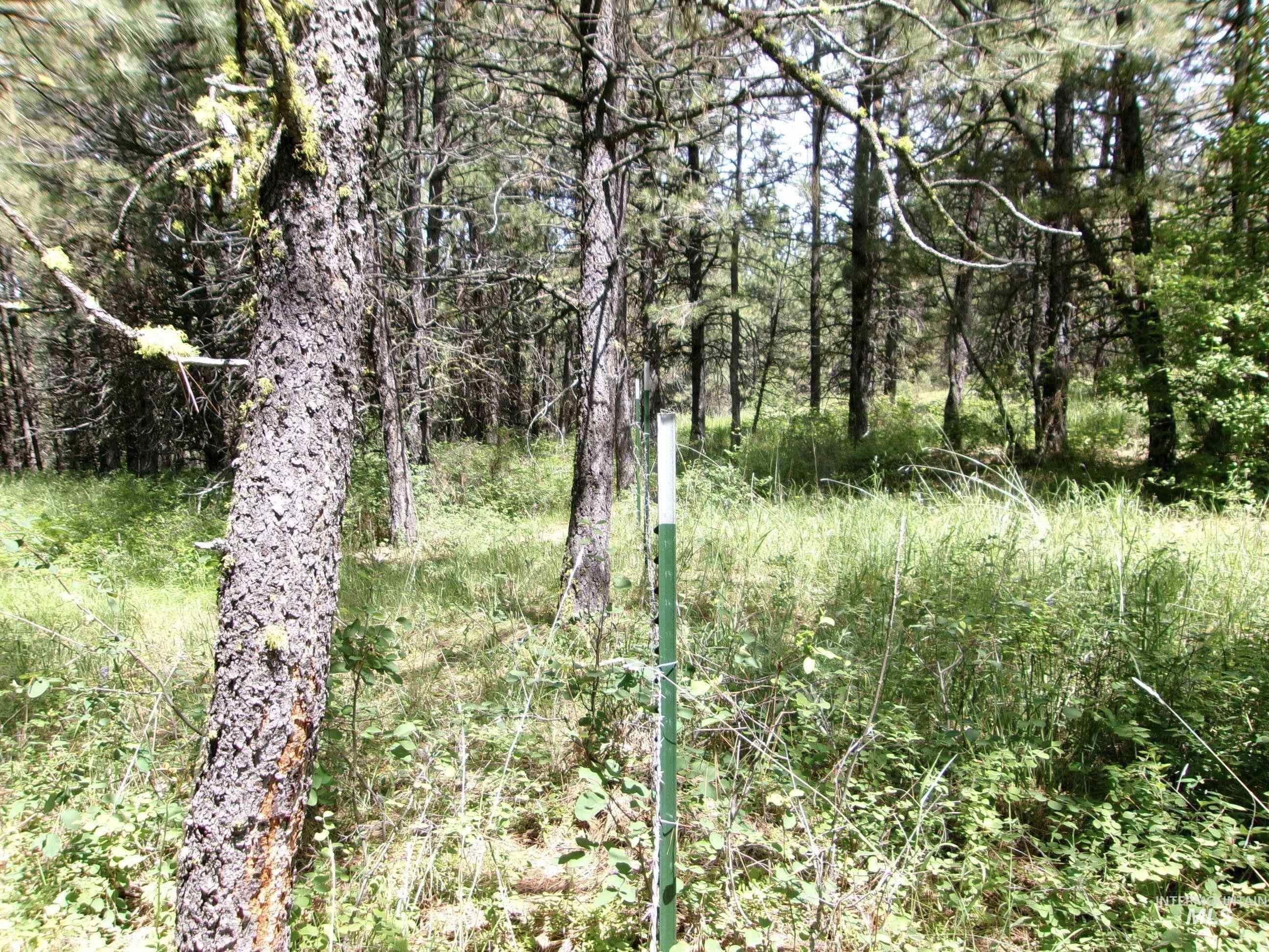 TBD 5ac Jackpine Rd, CottonWood, Idaho 83522, Land For Sale, Price $85,000, 98995549