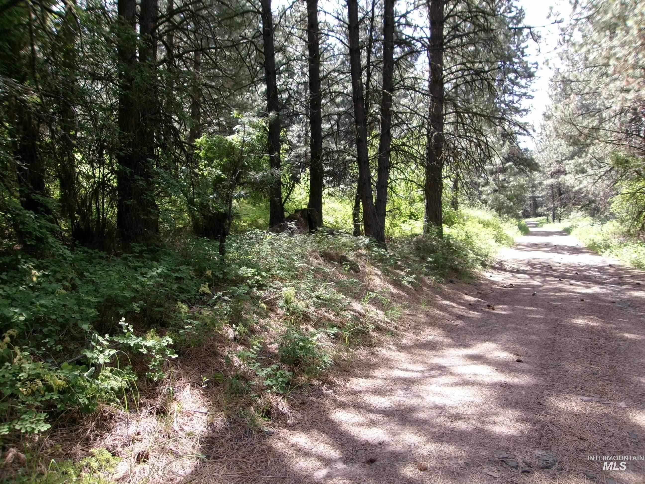TBD 5ac Jackpine Rd, CottonWood, Idaho 83522, Land For Sale, Price $85,000, 98995549