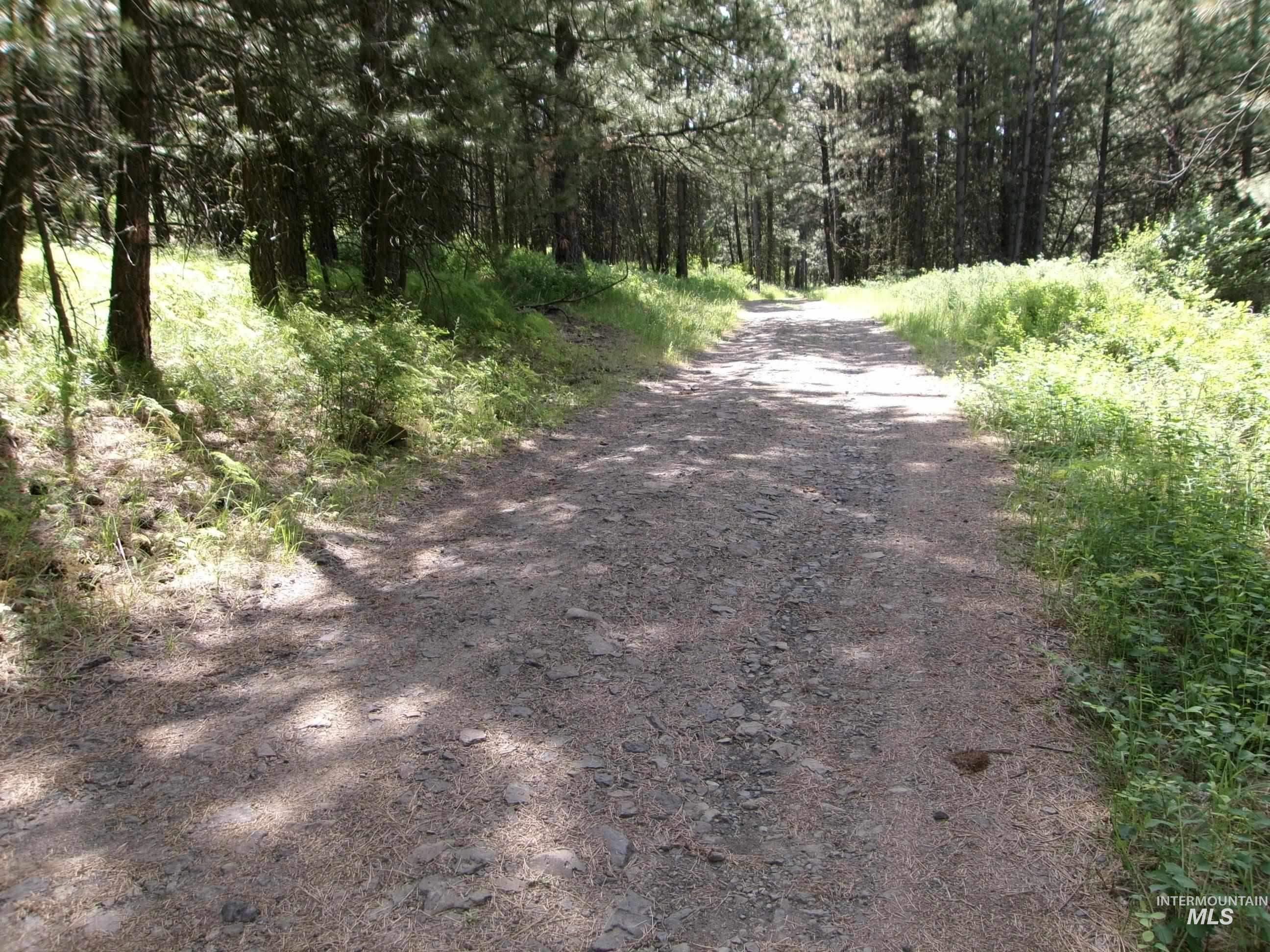 TBD 5ac Jackpine Rd, CottonWood, Idaho 83522, Land For Sale, Price $85,000, 98995549
