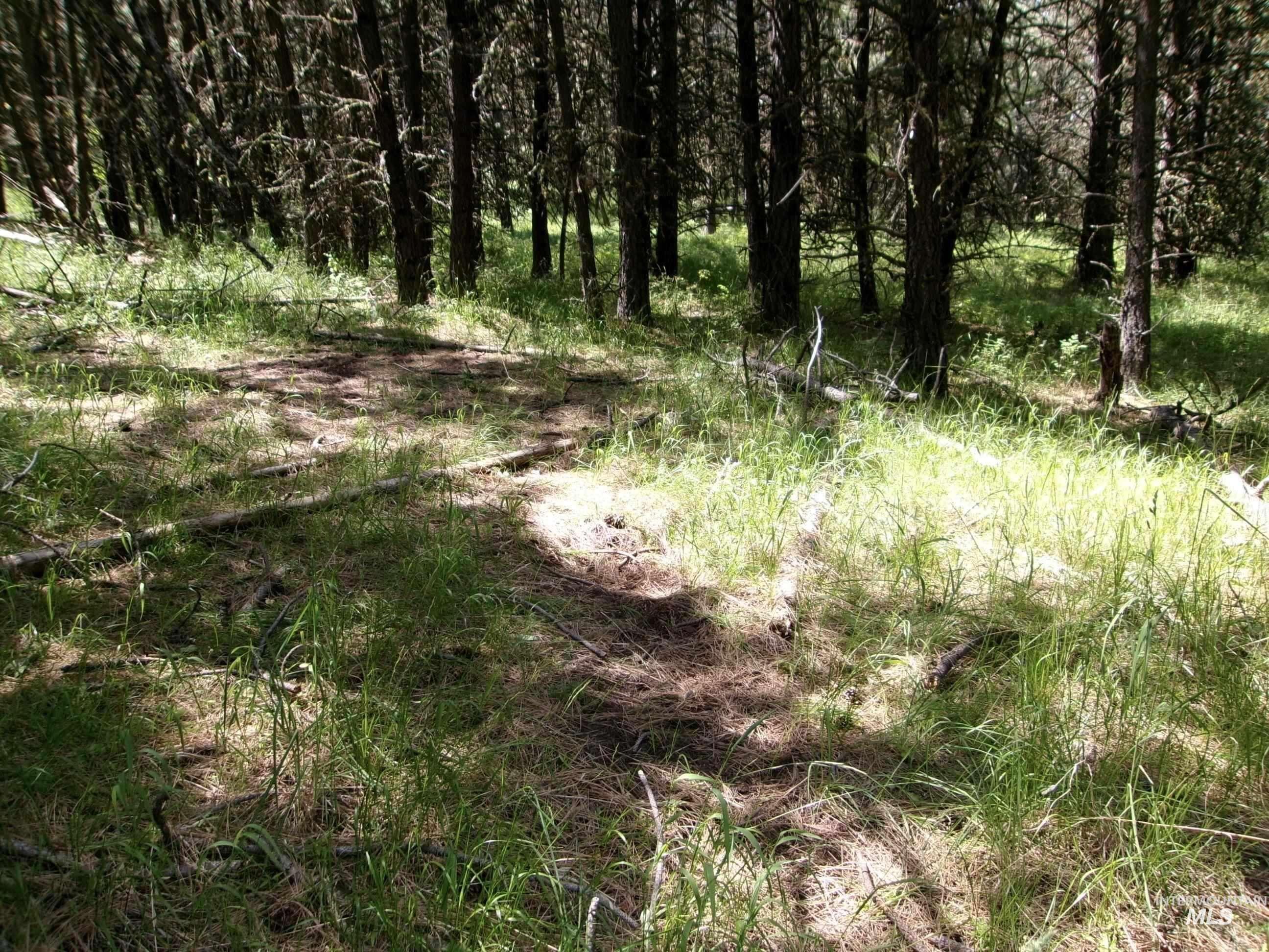 TBD 5ac Jackpine Rd, CottonWood, Idaho 83522, Land For Sale, Price $85,000, 98995549