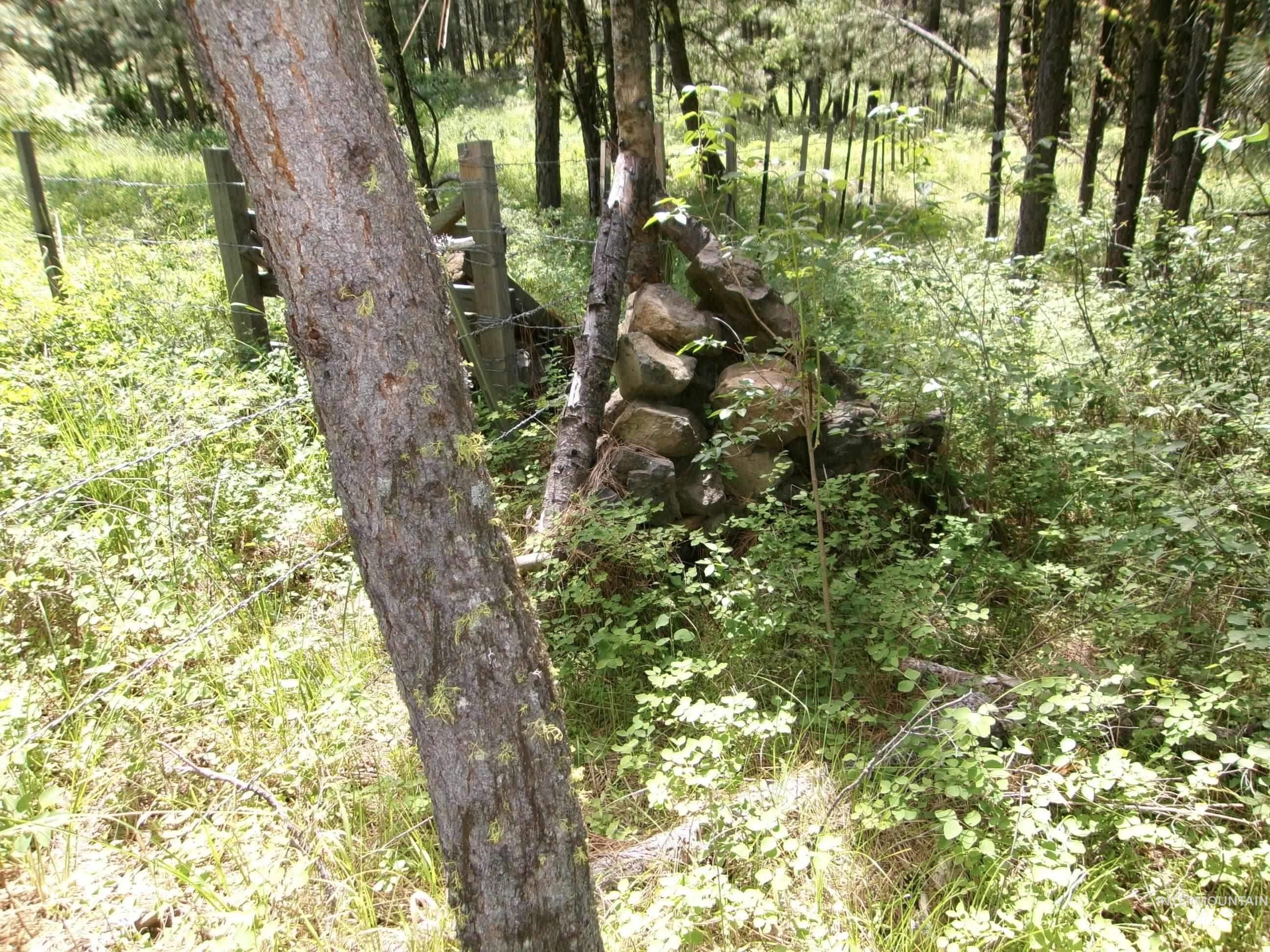 TBD 5ac Jackpine Rd, CottonWood, Idaho 83522, Land For Sale, Price $85,000, 98995549