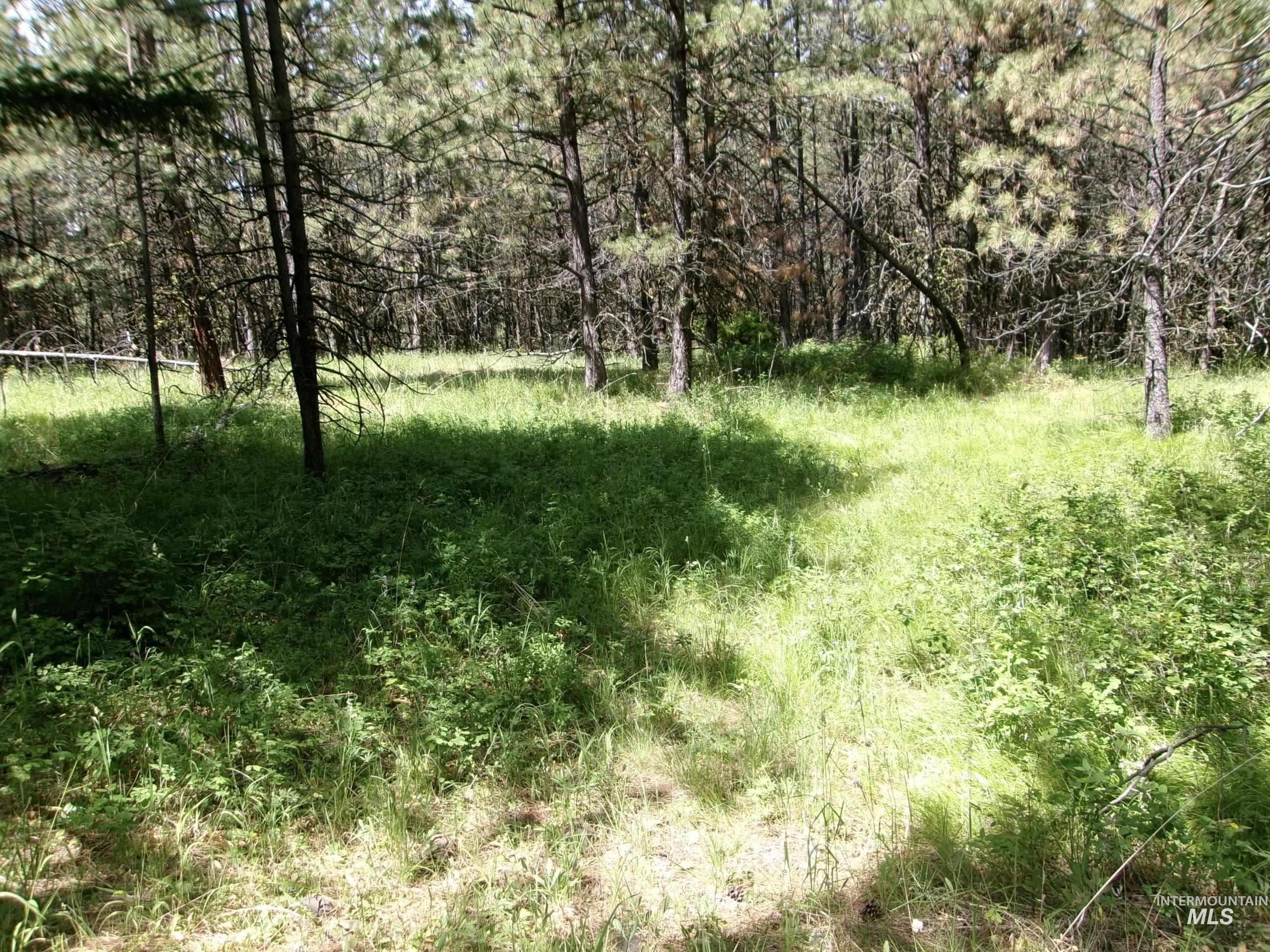 TBD 5ac Jackpine Rd, CottonWood, Idaho 83522, Land For Sale, Price $85,000, 98995549