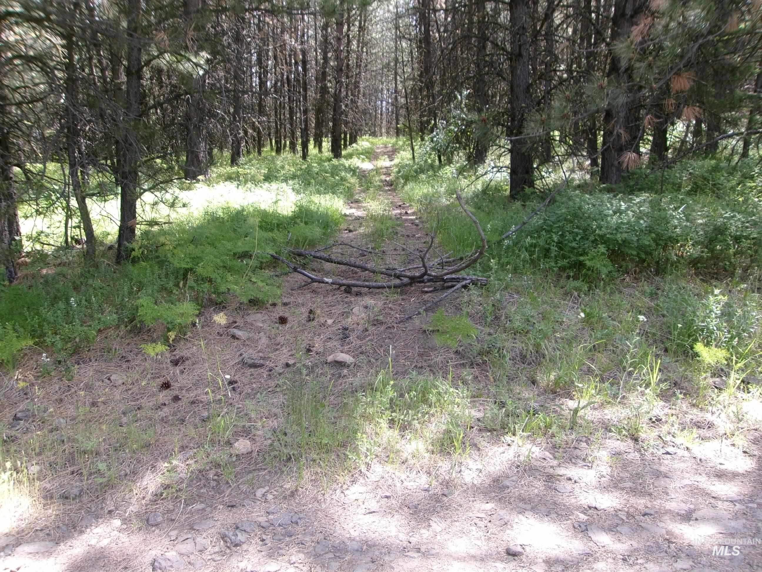 TBD 5ac Jackpine Rd, CottonWood, Idaho 83522, Land For Sale, Price $85,000, 98995549
