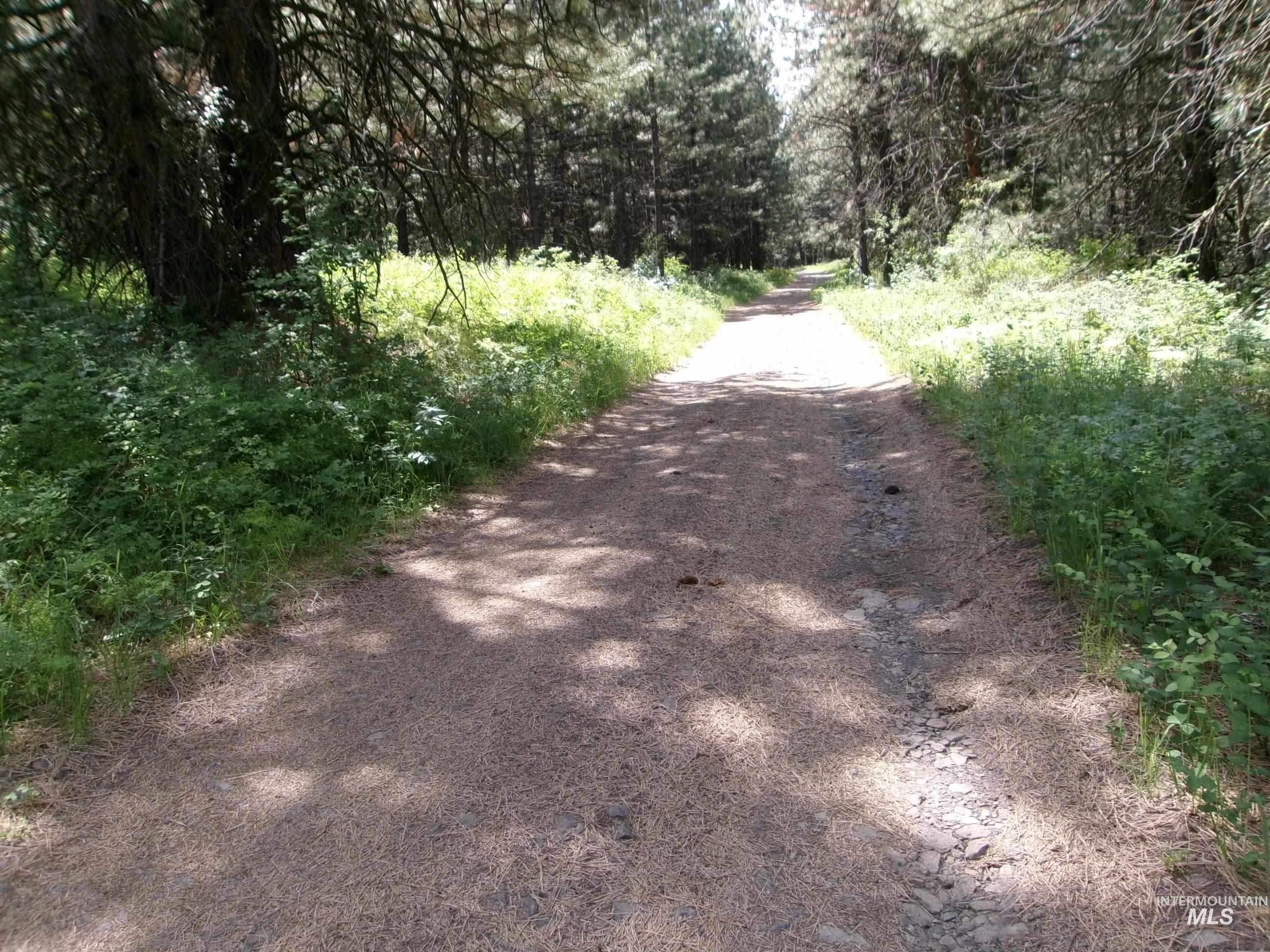 TBD 5ac Jackpine Rd, CottonWood, Idaho 83522, Land For Sale, Price $85,000, 98995549