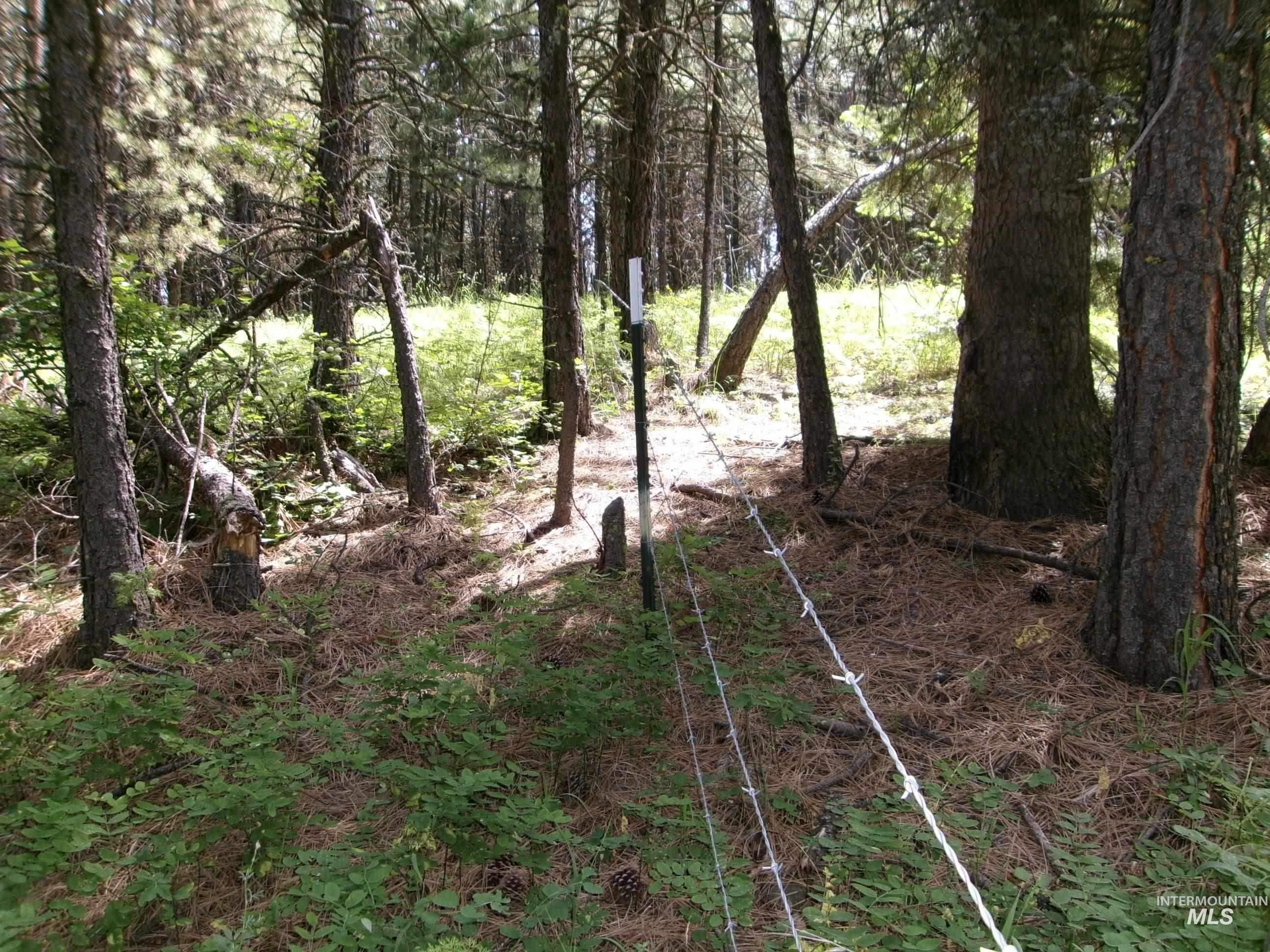 TBD 5ac Jackpine Rd, CottonWood, Idaho 83522, Land For Sale, Price $85,000, 98995549