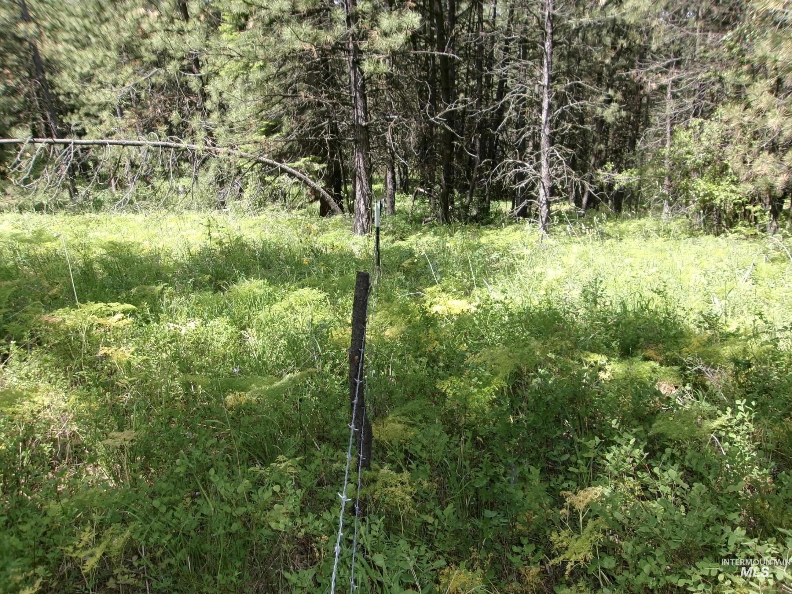 TBD 5ac Jackpine Rd, CottonWood, Idaho 83522, Land For Sale, Price $85,000, 98995549
