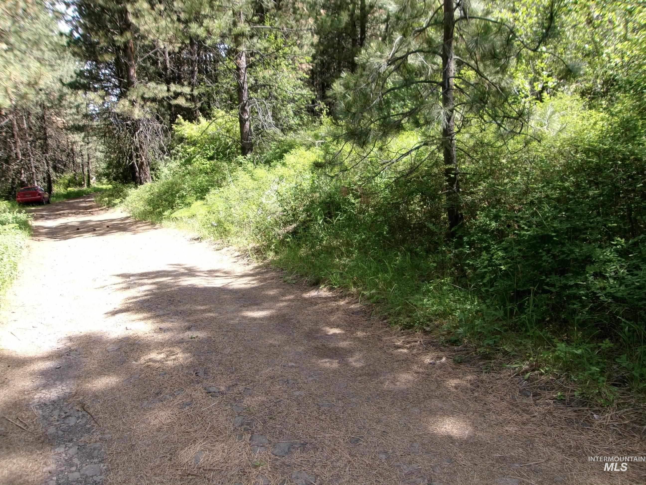 TBD 5ac Jackpine Rd, CottonWood, Idaho 83522, Land For Sale, Price $85,000, 98995549