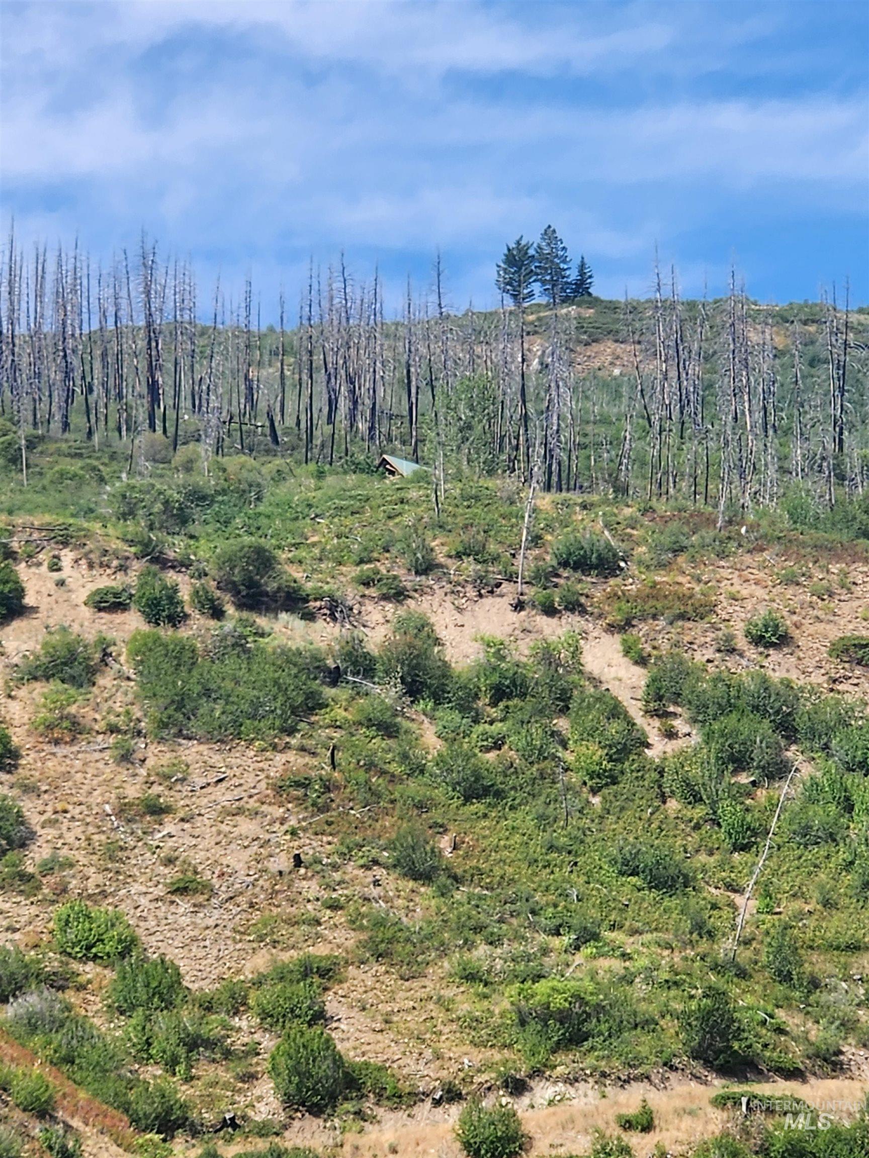 TBD S Bay View Rd, Fall Creek, Idaho 83647, Land For Sale, Price $259,000,MLS 98995837