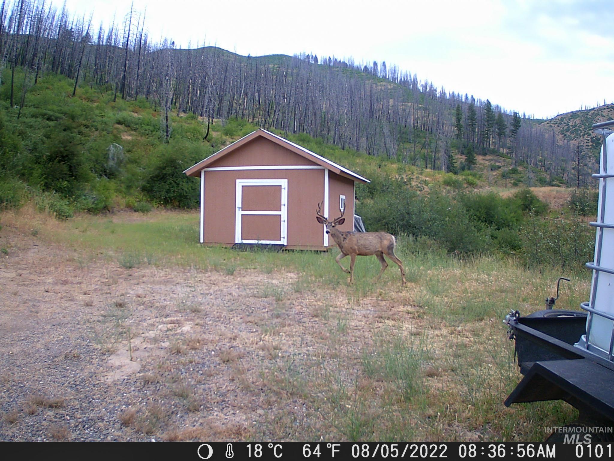 TBD S Bay View Rd, Fall Creek, Idaho 83647, Land For Sale, Price $259,000,MLS 98995837