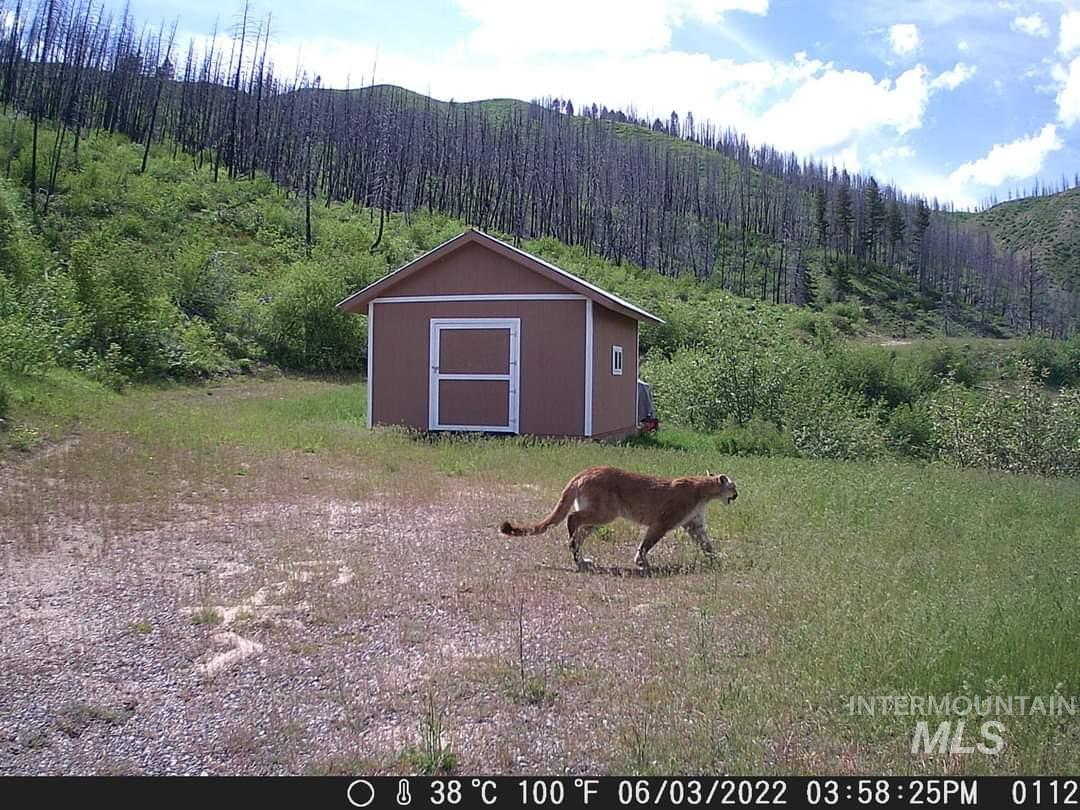 TBD S Bay View Rd, Fall Creek, Idaho 83647, Land For Sale, Price $259,000,MLS 98995837