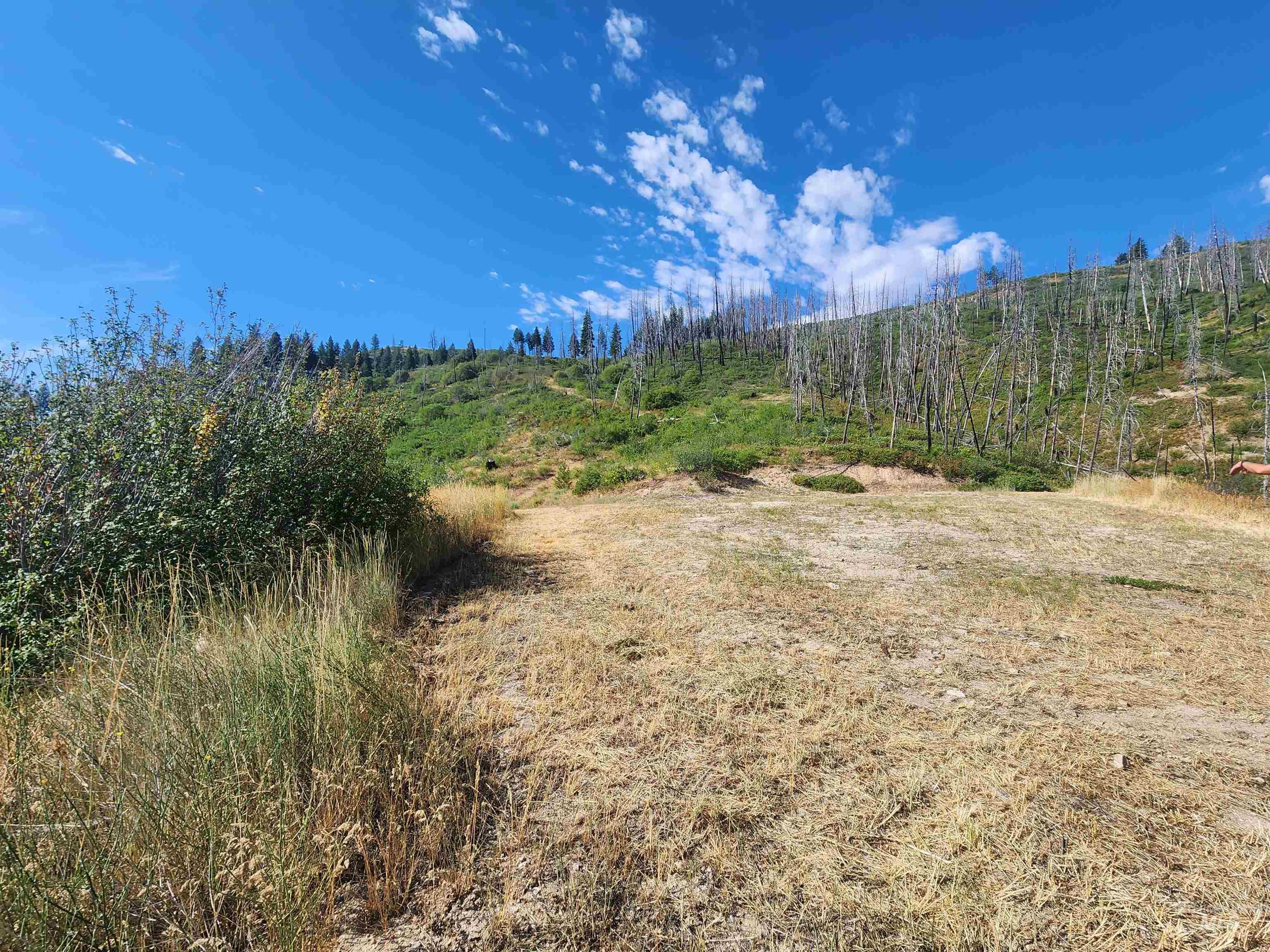 TBD S Bay View Rd, Fall Creek, Idaho 83647, Land For Sale, Price $259,000,MLS 98995837