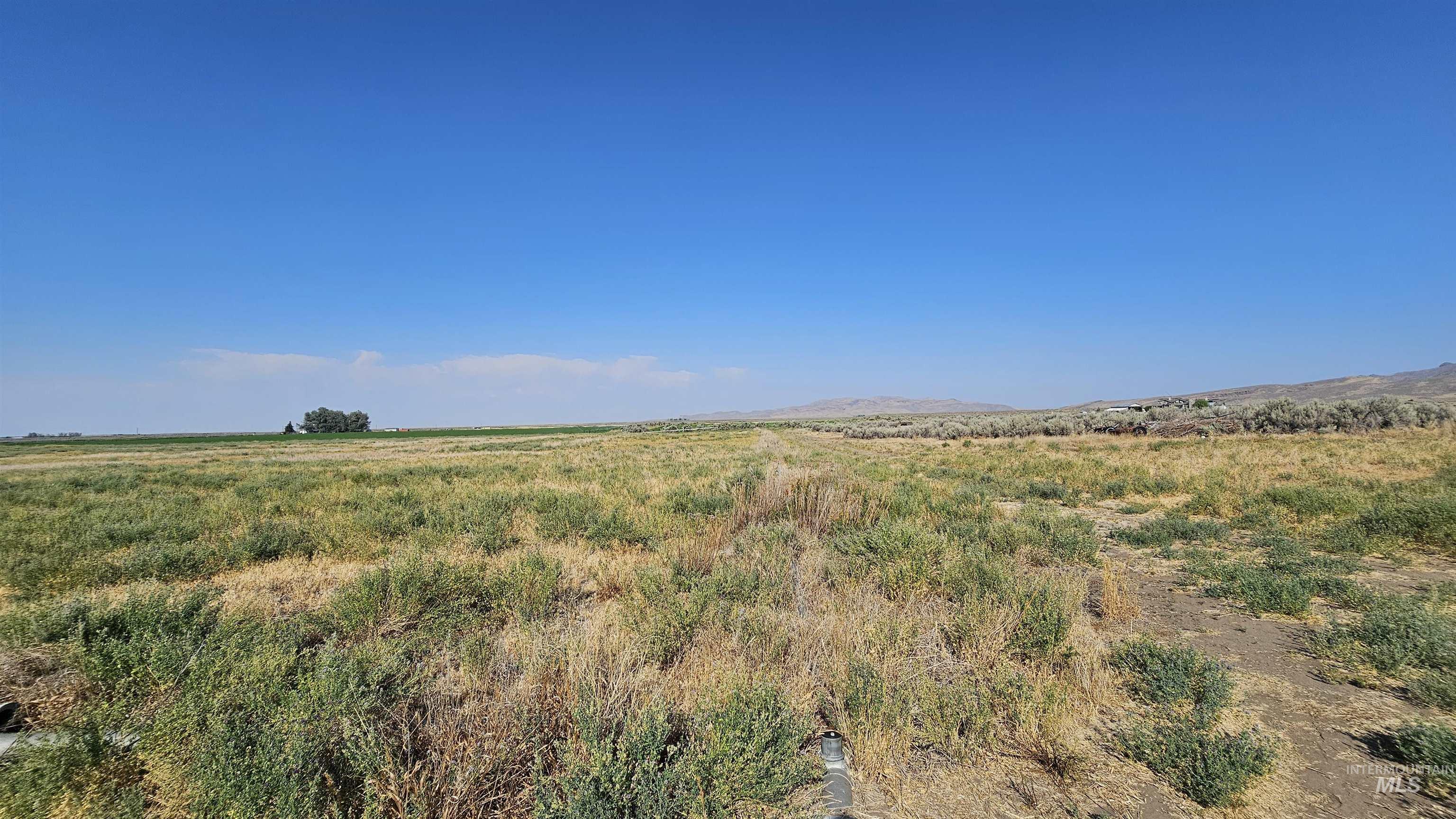20075 Shed Rd, Carey, Idaho 83313, Land For Sale, Price $500,000,MLS 98995935