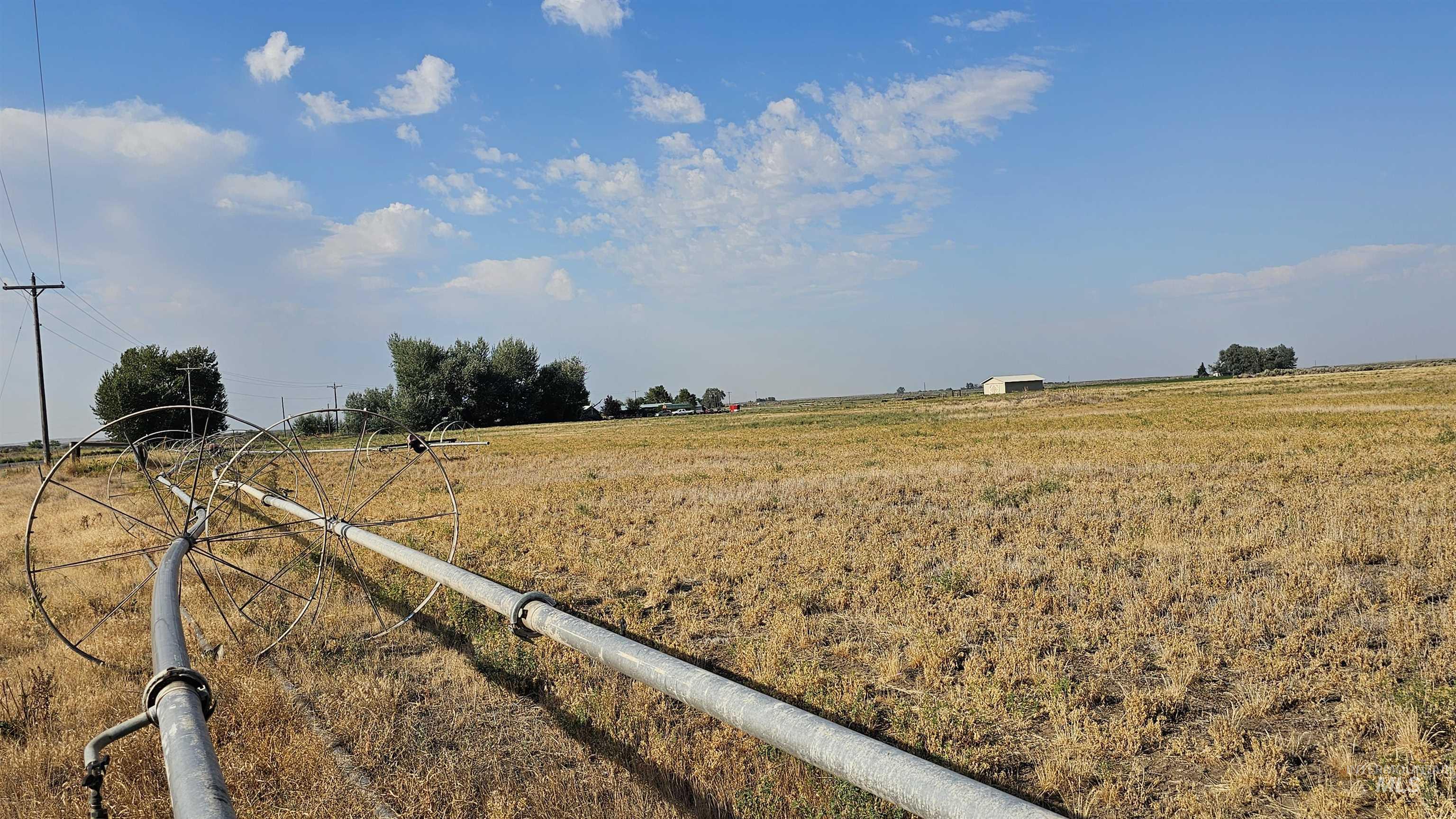 20075 Shed Rd, Carey, Idaho 83313, Land For Sale, Price $500,000,MLS 98995935