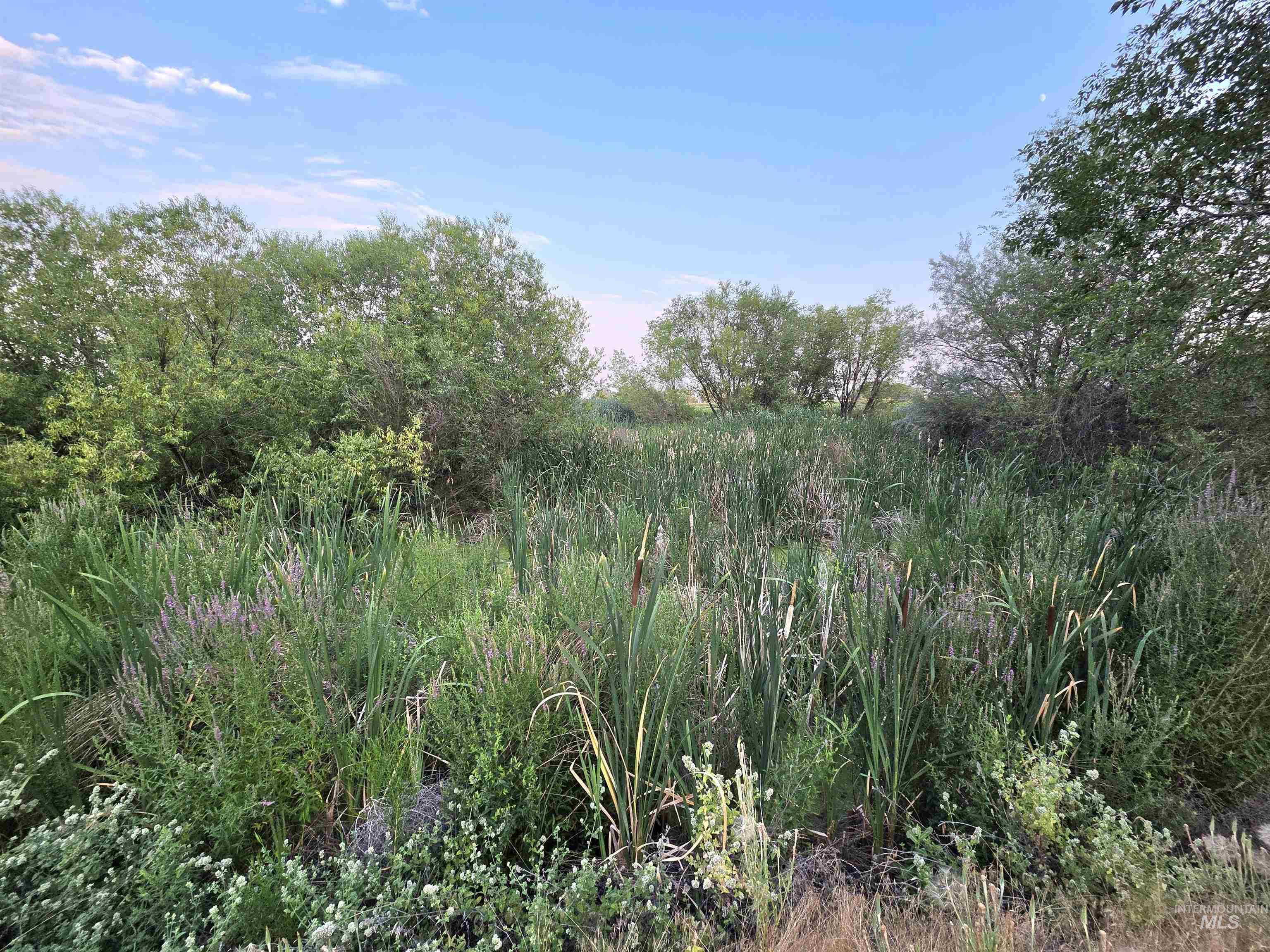 757 Foothill Dr, Ontario, Oregon 97914, Land For Sale, Price $289,000,MLS 98995994