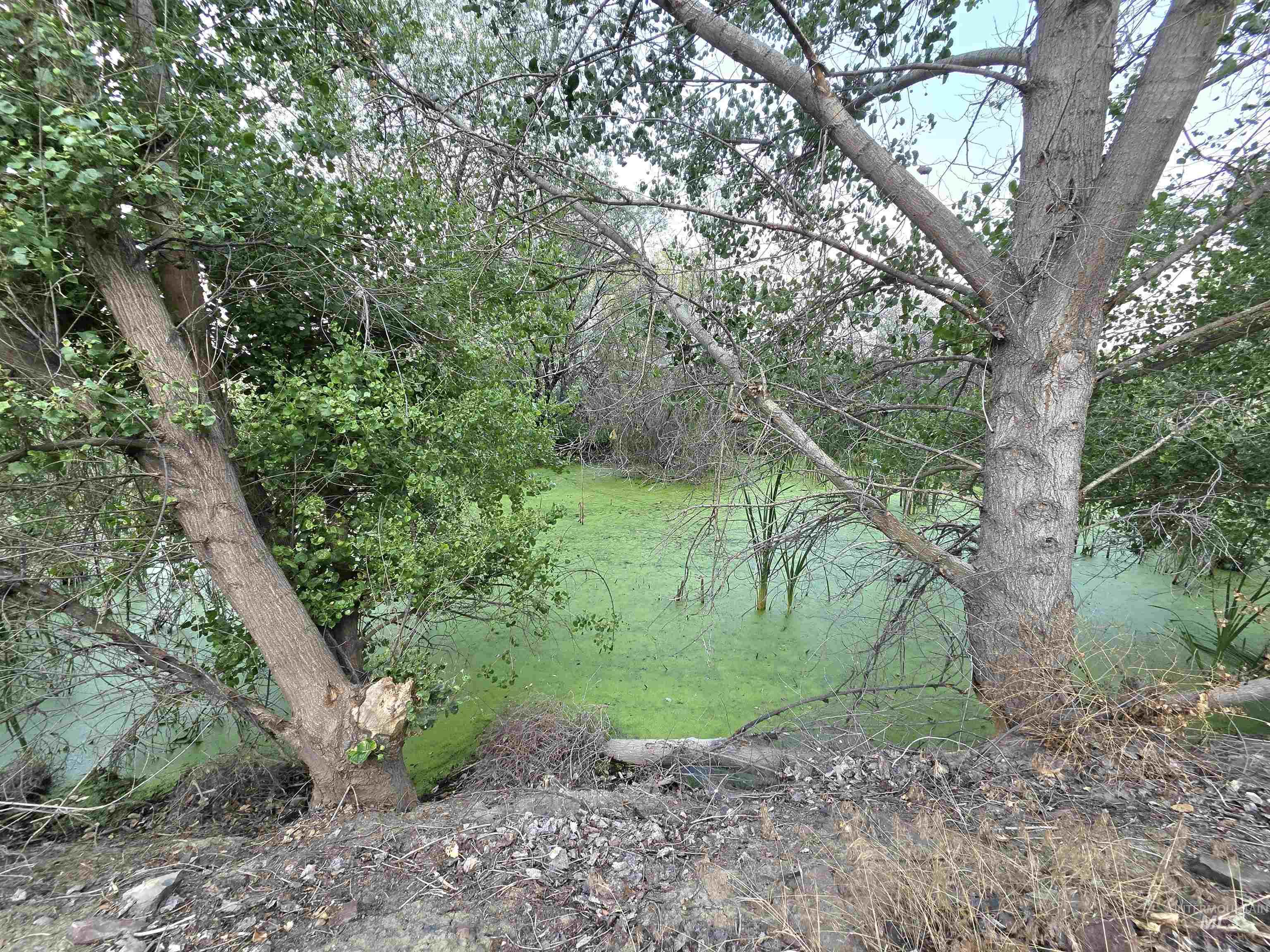757 Foothill Dr, Ontario, Oregon 97914, 3 Bedrooms, 2 Bathrooms, Residential For Sale, Price $289,000,MLS 98995995