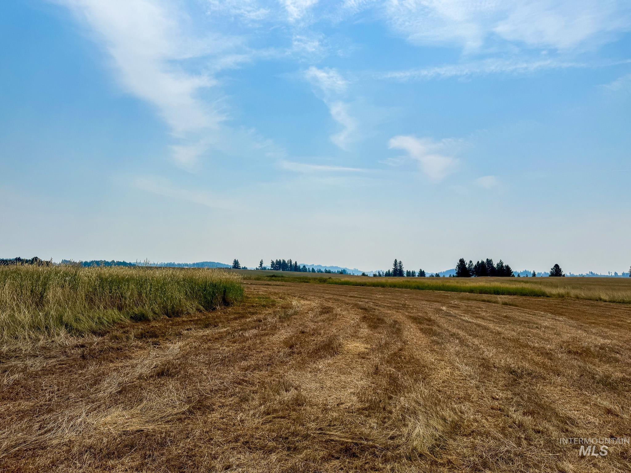 TBD Tupper Rd, Weippe, Idaho 83553, Land For Sale, Price $505,000,MLS 98996034