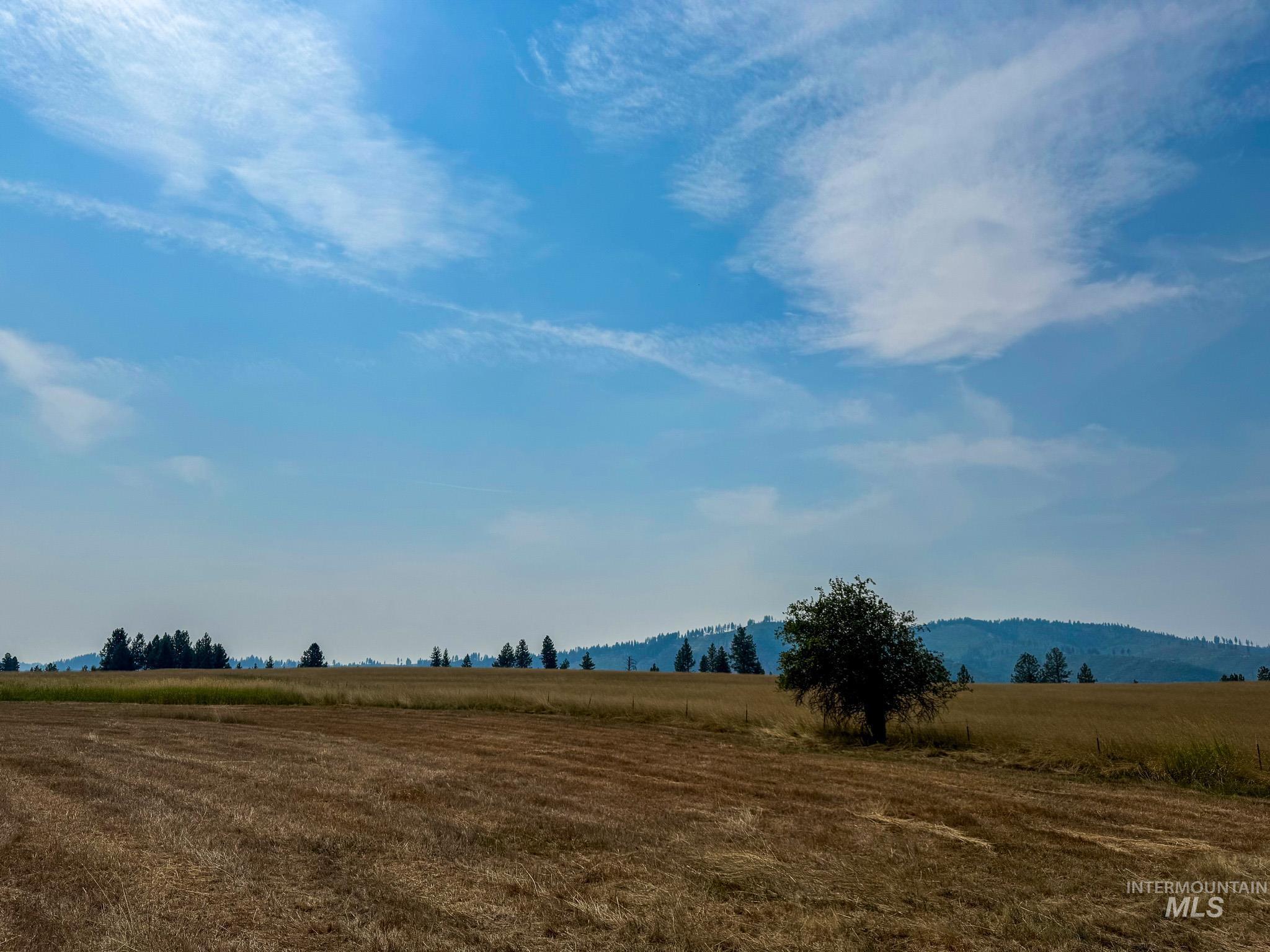TBD Tupper Rd, Weippe, Idaho 83553, Land For Sale, Price $505,000,MLS 98996034