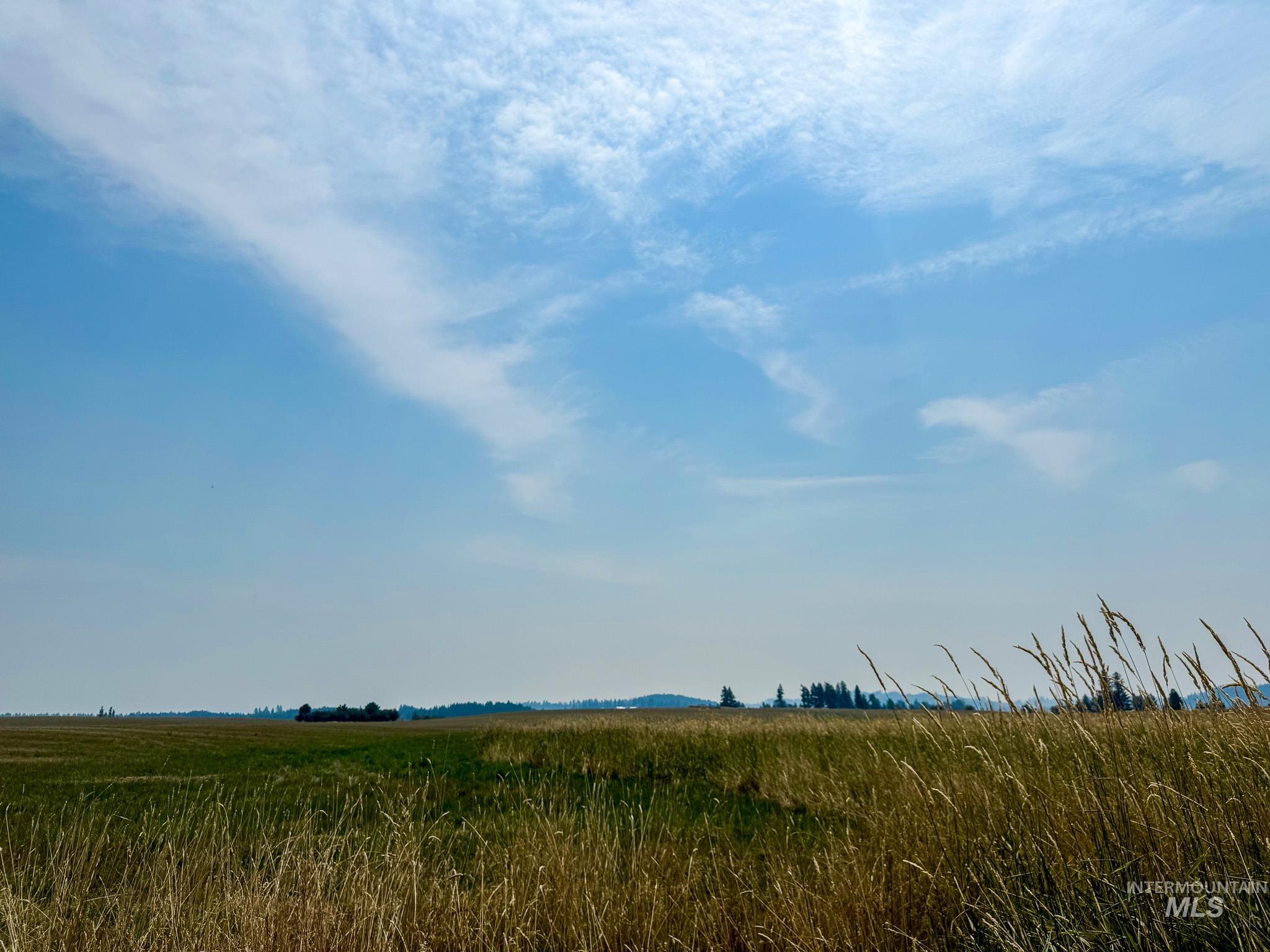 TBD Tupper Rd, Weippe, Idaho 83553, Land For Sale, Price $505,000,MLS 98996034
