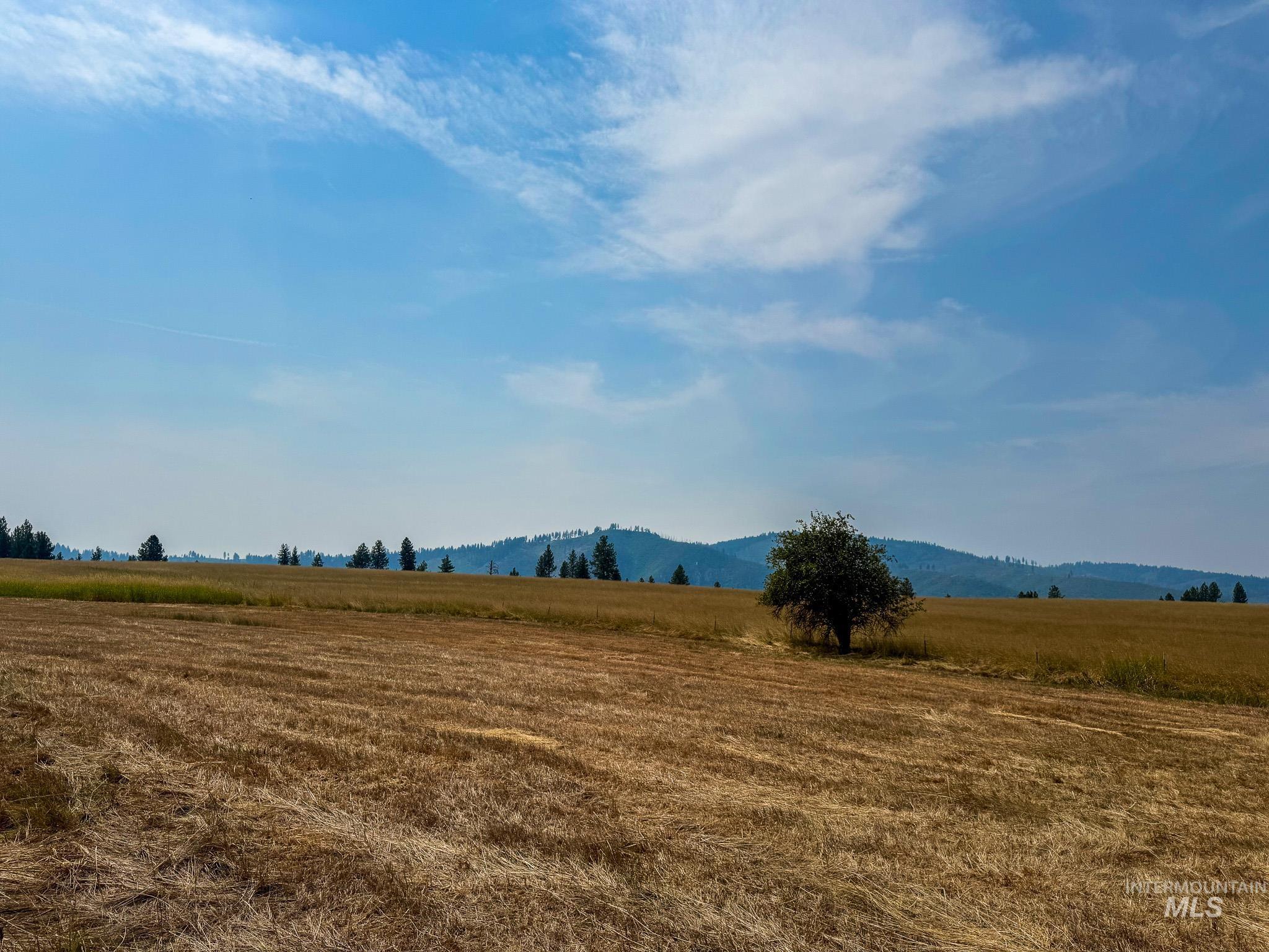 TBD Tupper Rd, Weippe, Idaho 83553, Land For Sale, Price $505,000,MLS 98996034
