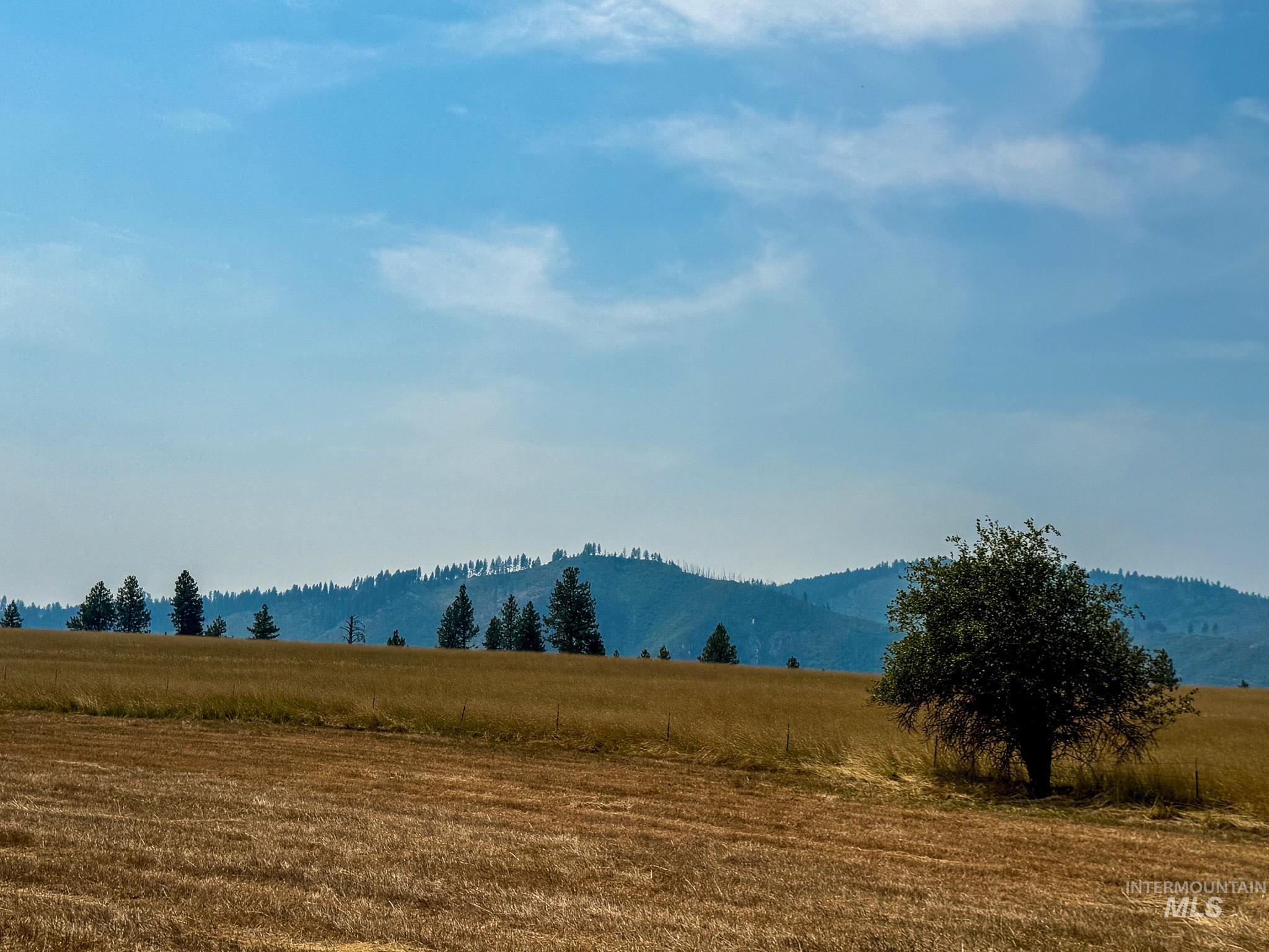 TBD Tupper Rd, Weippe, Idaho 83553, Land For Sale, Price $505,000,MLS 98996034