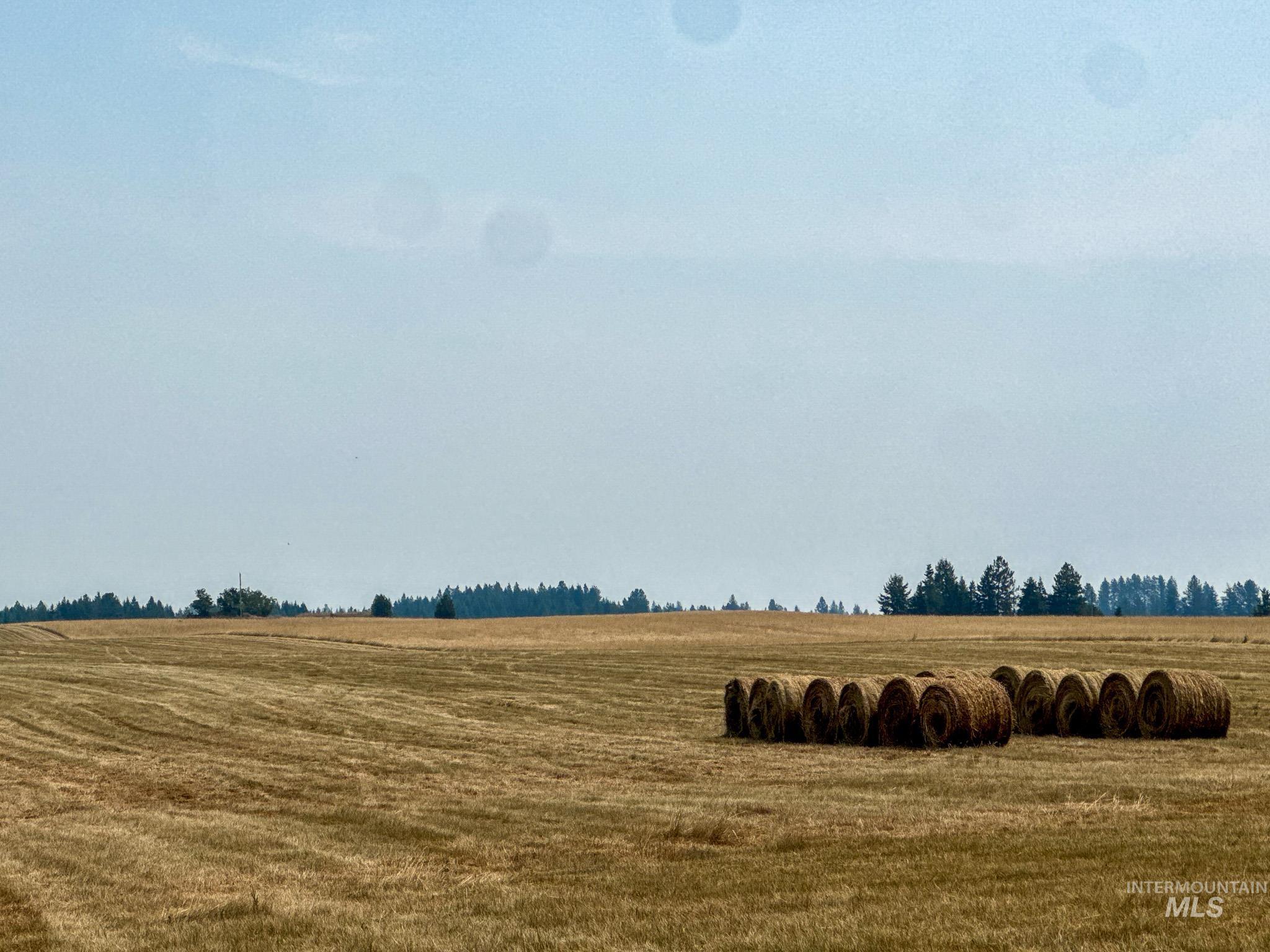 TBD Three Mile Rd, Weippe, Idaho 83553, Land For Sale, Price $550,000,MLS 98996035