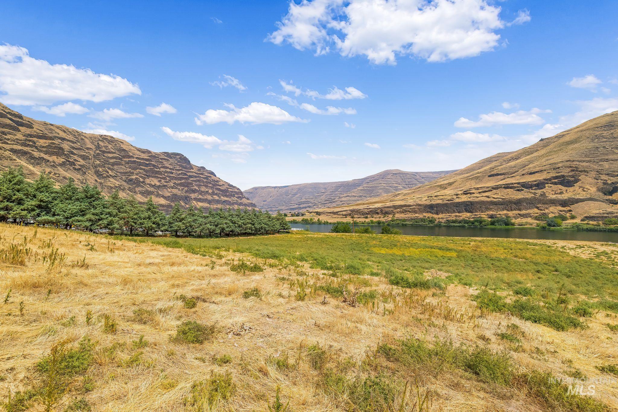 Not Assigned SNAKE RIVER ROAD, Asotin, Washington 99402, Land For Sale, Price $495,000,MLS 98996064