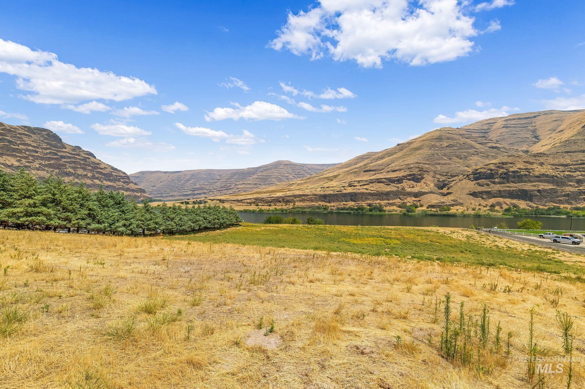 Not Assigned SNAKE RIVER ROAD, Asotin, Washington 99402, Land For Sale, Price $495,000,MLS 98996064