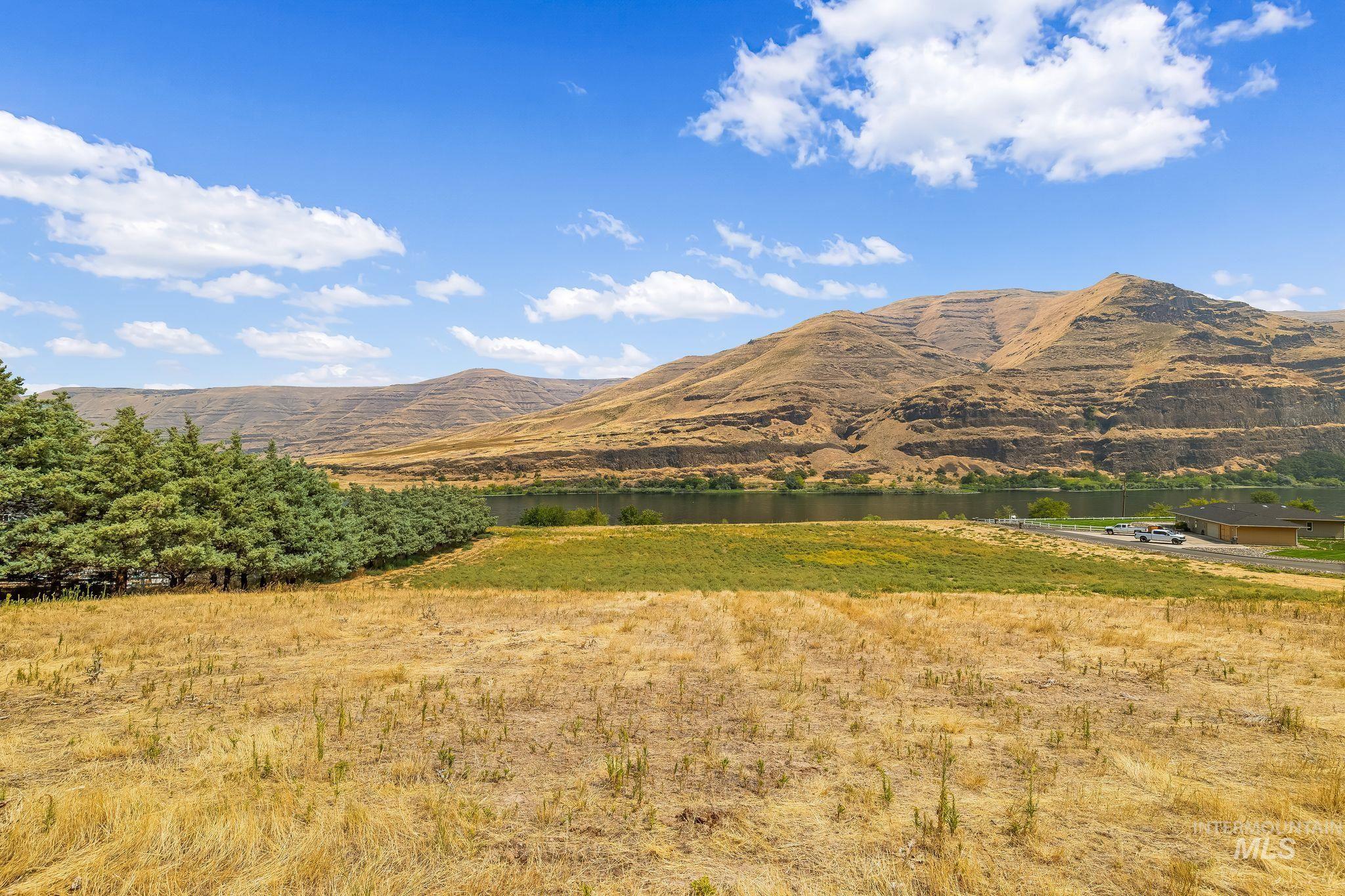 Not Assigned SNAKE RIVER ROAD, Asotin, Washington 99402, Land For Sale, Price $495,000,MLS 98996064