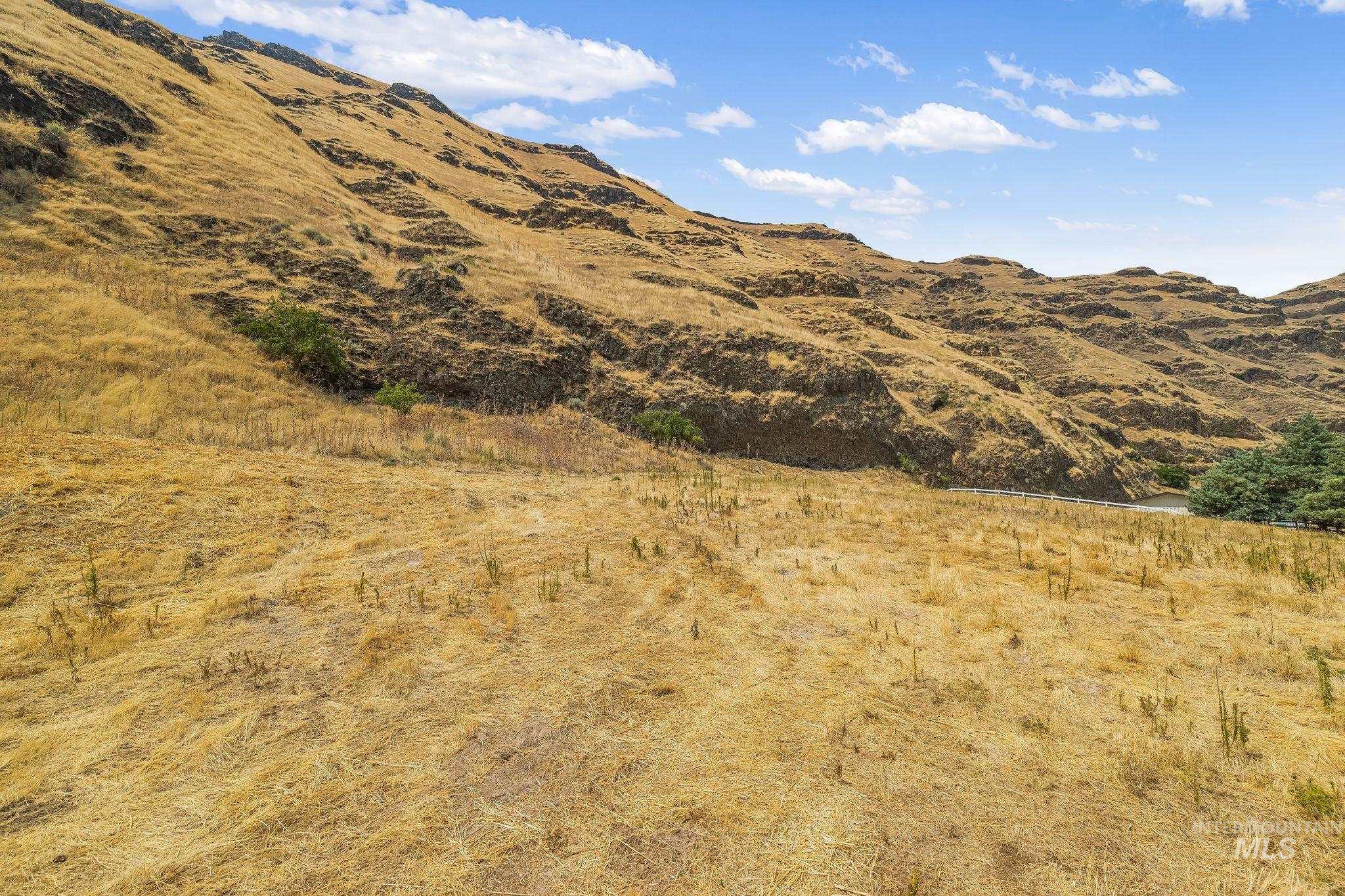 Not Assigned SNAKE RIVER ROAD, Asotin, Washington 99402, Land For Sale, Price $495,000,MLS 98996064
