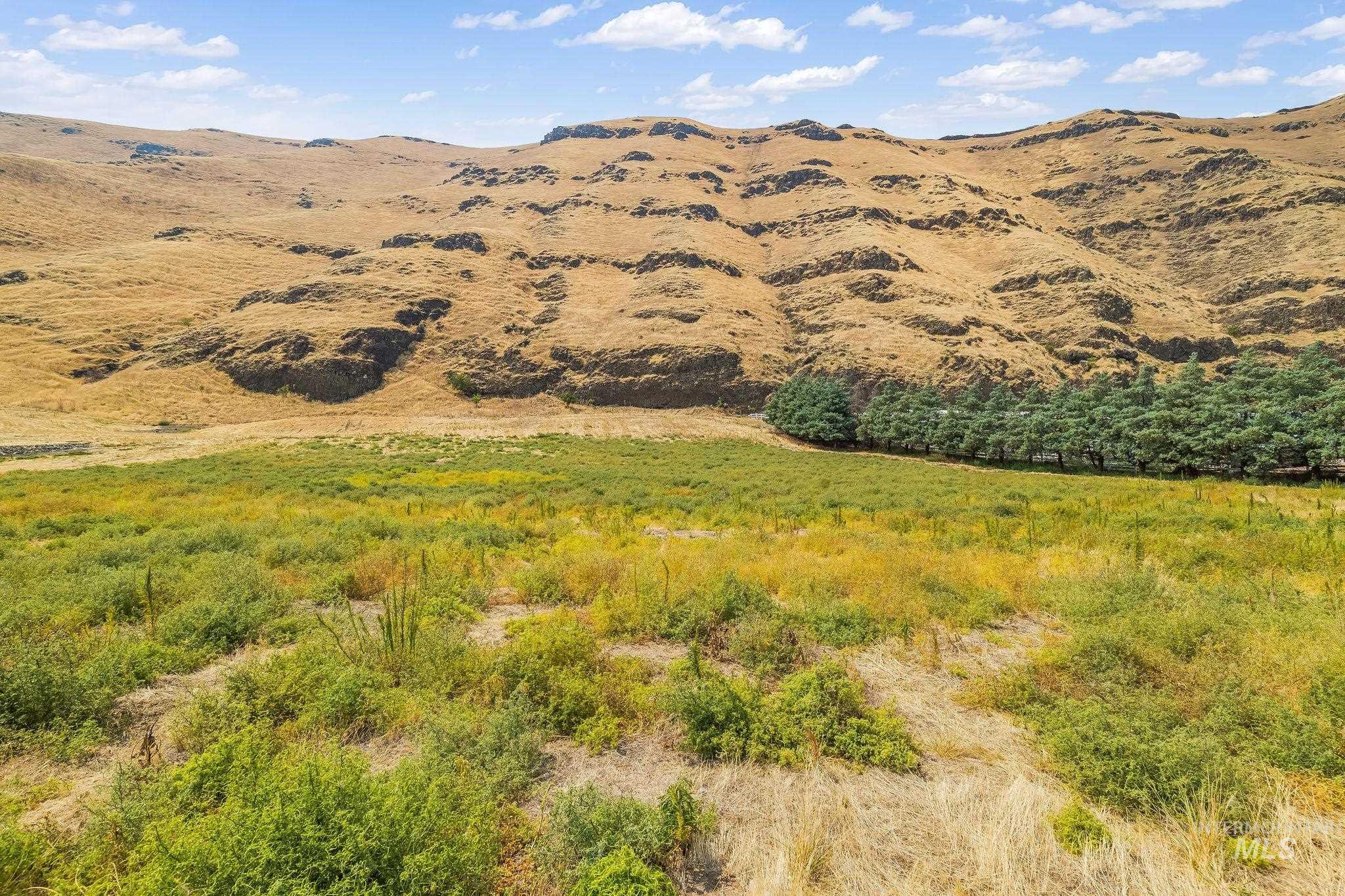 Not Assigned SNAKE RIVER ROAD, Asotin, Washington 99402, Land For Sale, Price $495,000,MLS 98996064