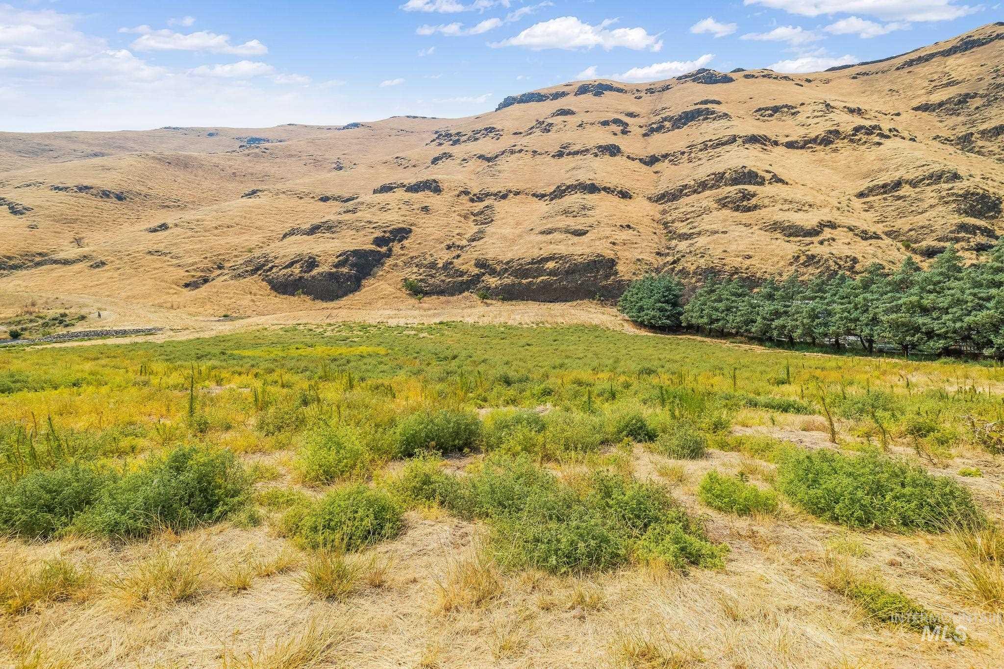 Not Assigned SNAKE RIVER ROAD, Asotin, Washington 99402, Land For Sale, Price $495,000,MLS 98996064