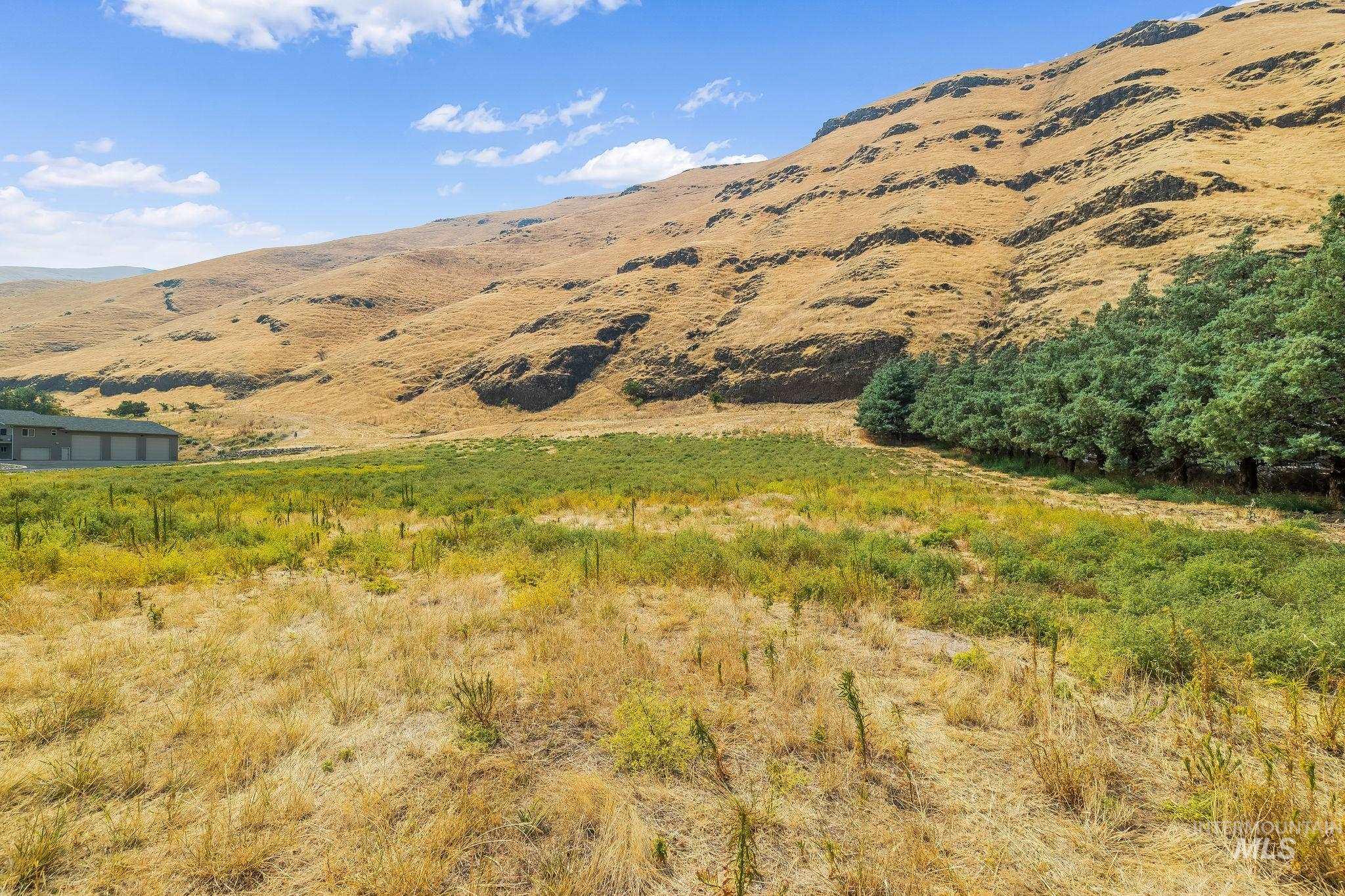 Not Assigned SNAKE RIVER ROAD, Asotin, Washington 99402, Land For Sale, Price $495,000,MLS 98996064